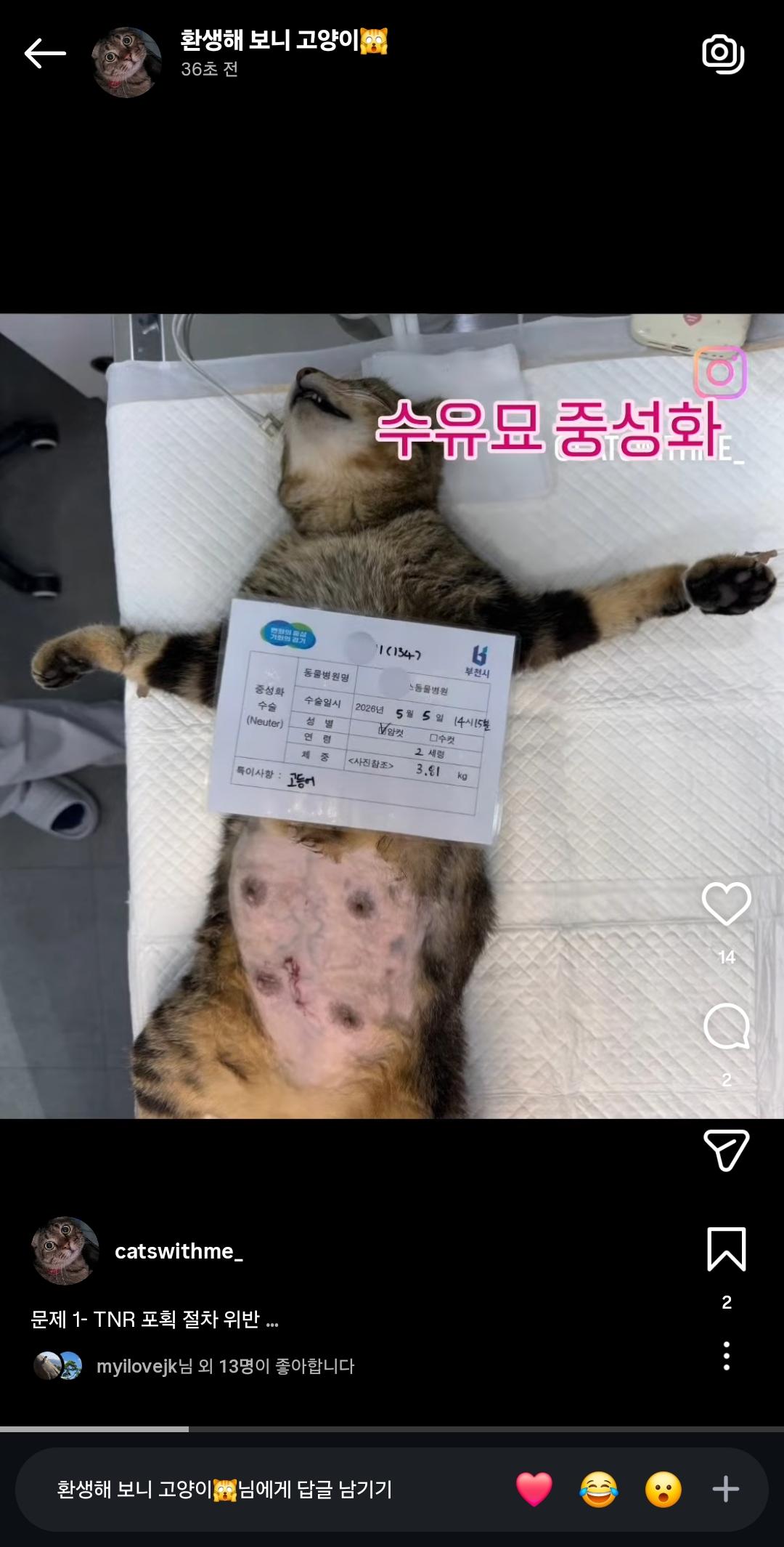 부천시 고양이 불법포획6.jpg