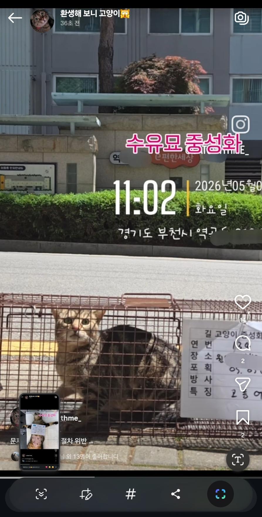 부천시 고양이 불법포획5.jpg