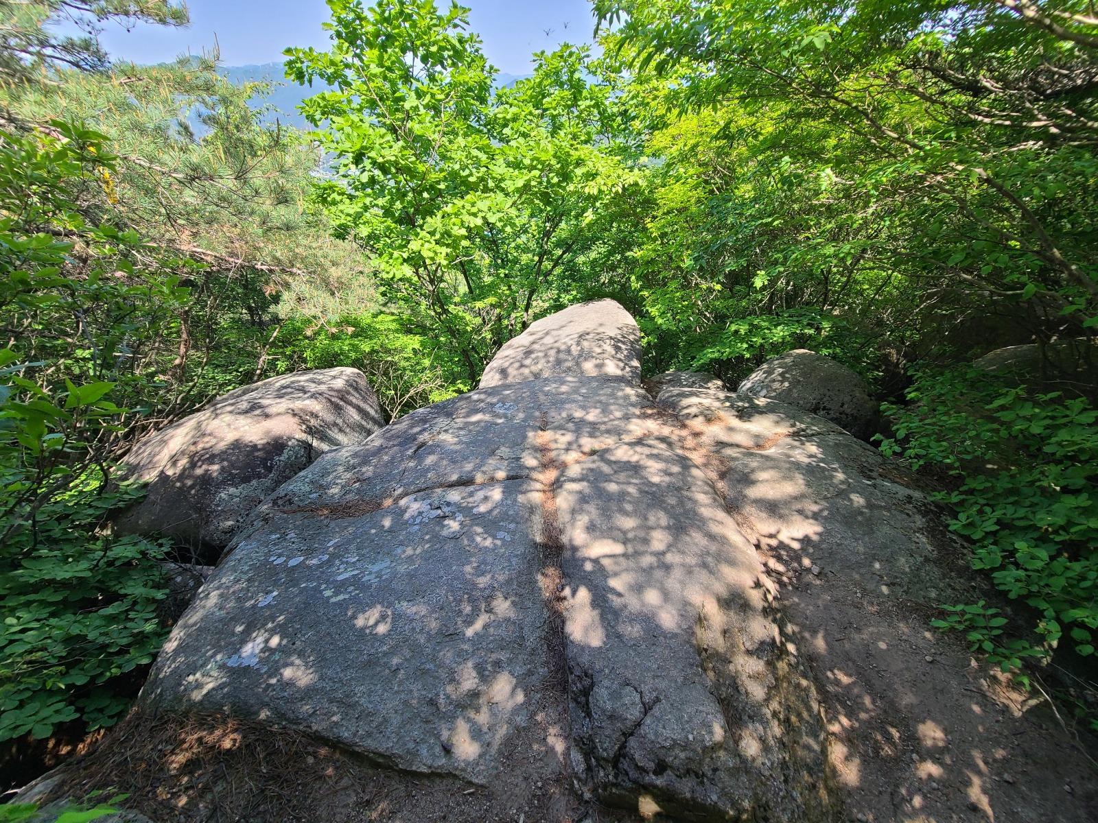 20260510_134403.jpg