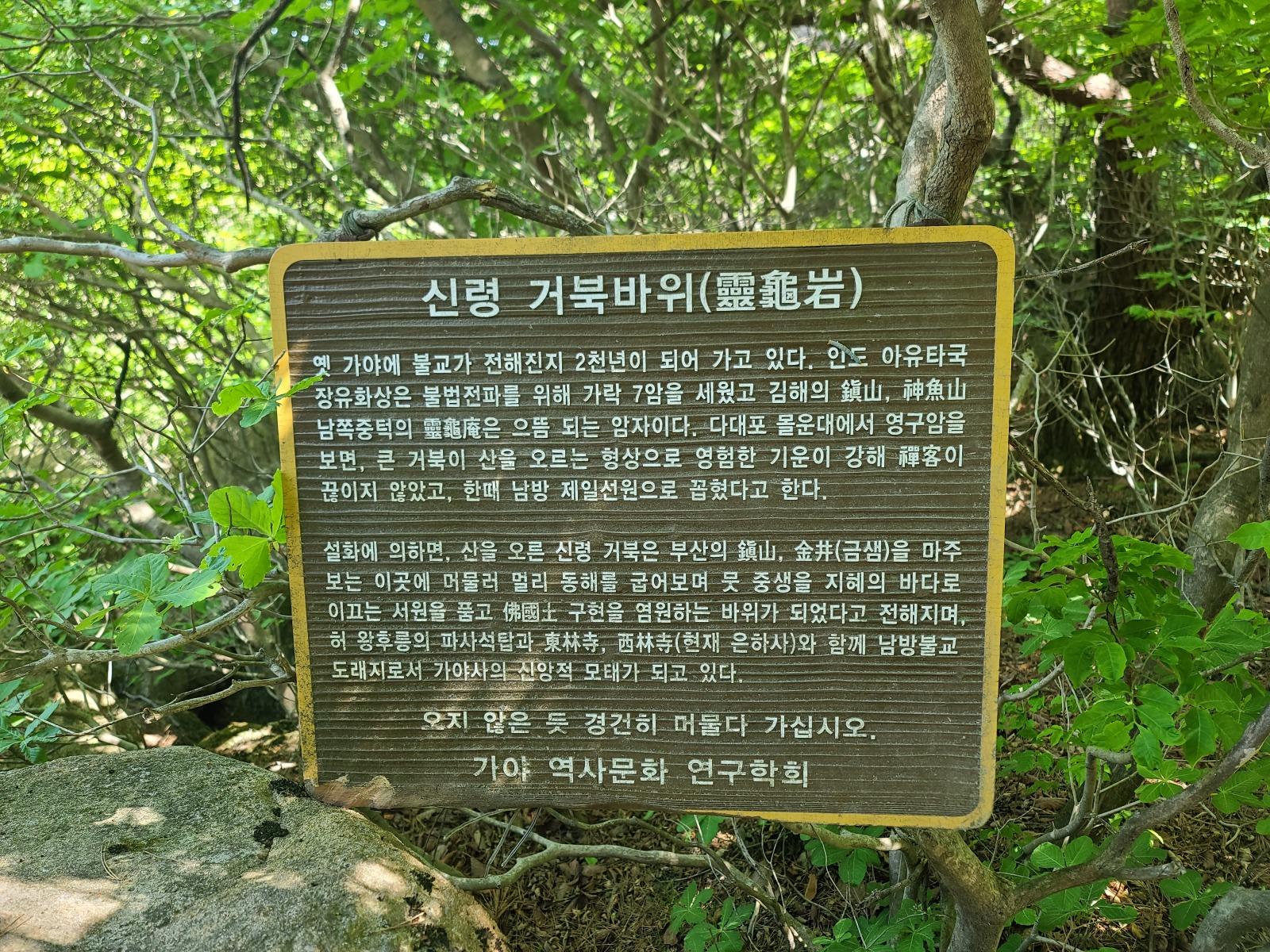 20260510_134343.jpg