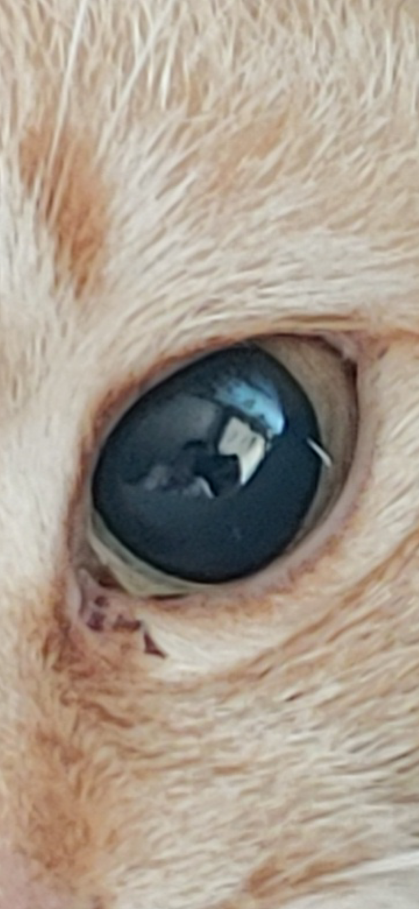 Screenshot_20260513-153938.png