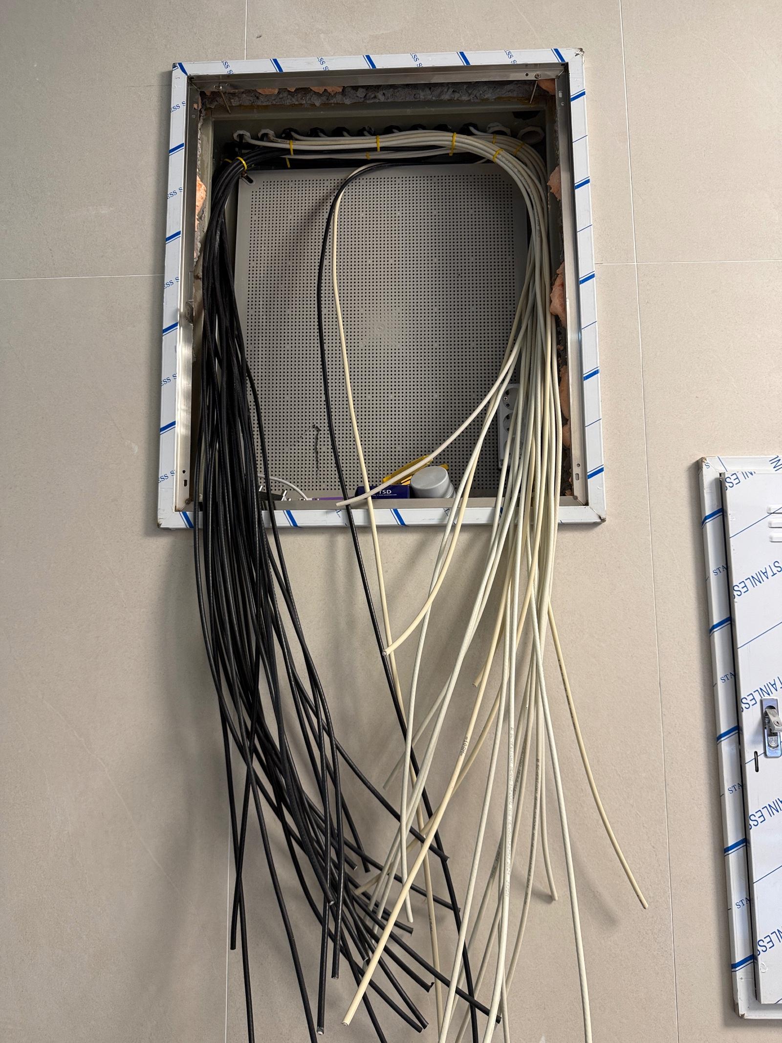 IMG_6874.jpeg