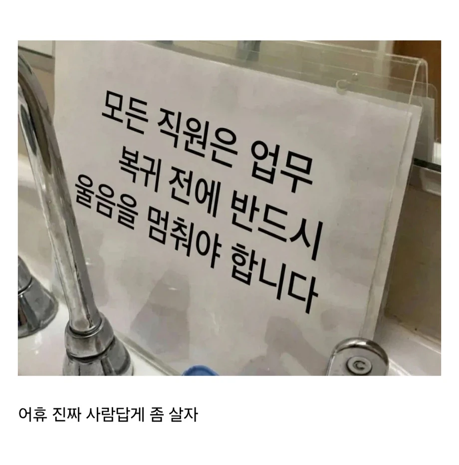 24.webp