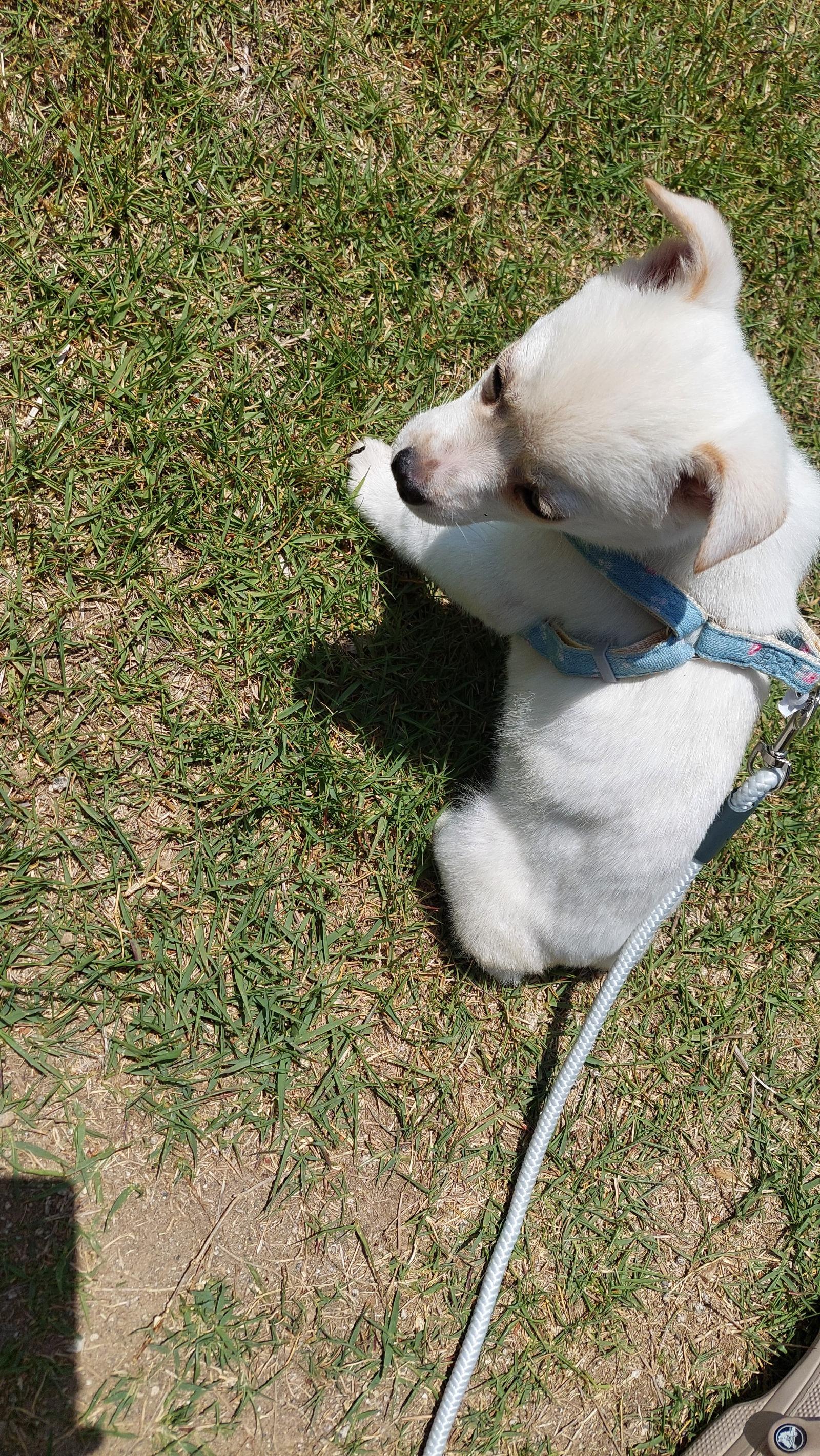 KakaoTalk_20260516_145614176_01 (1).jpg