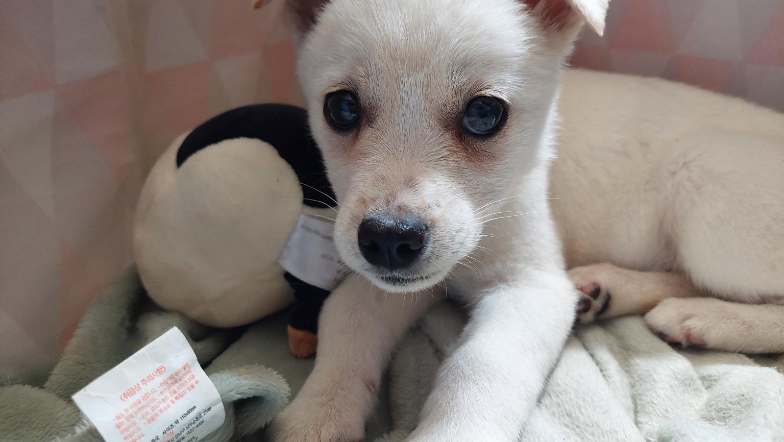 KakaoTalk_20260516_145632226_01.jpg