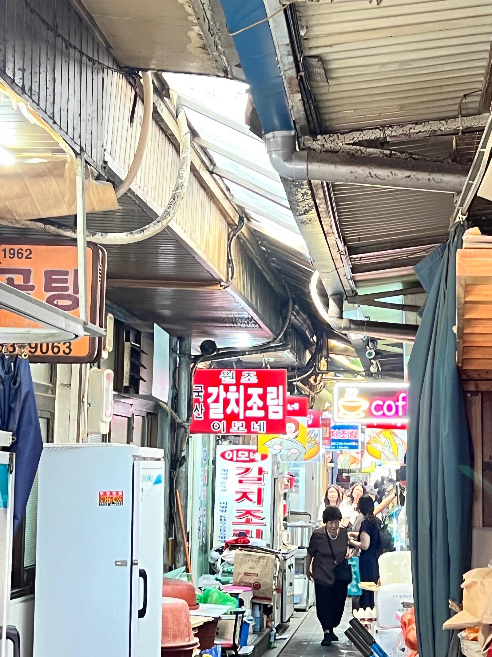 IMG_0101.jpeg