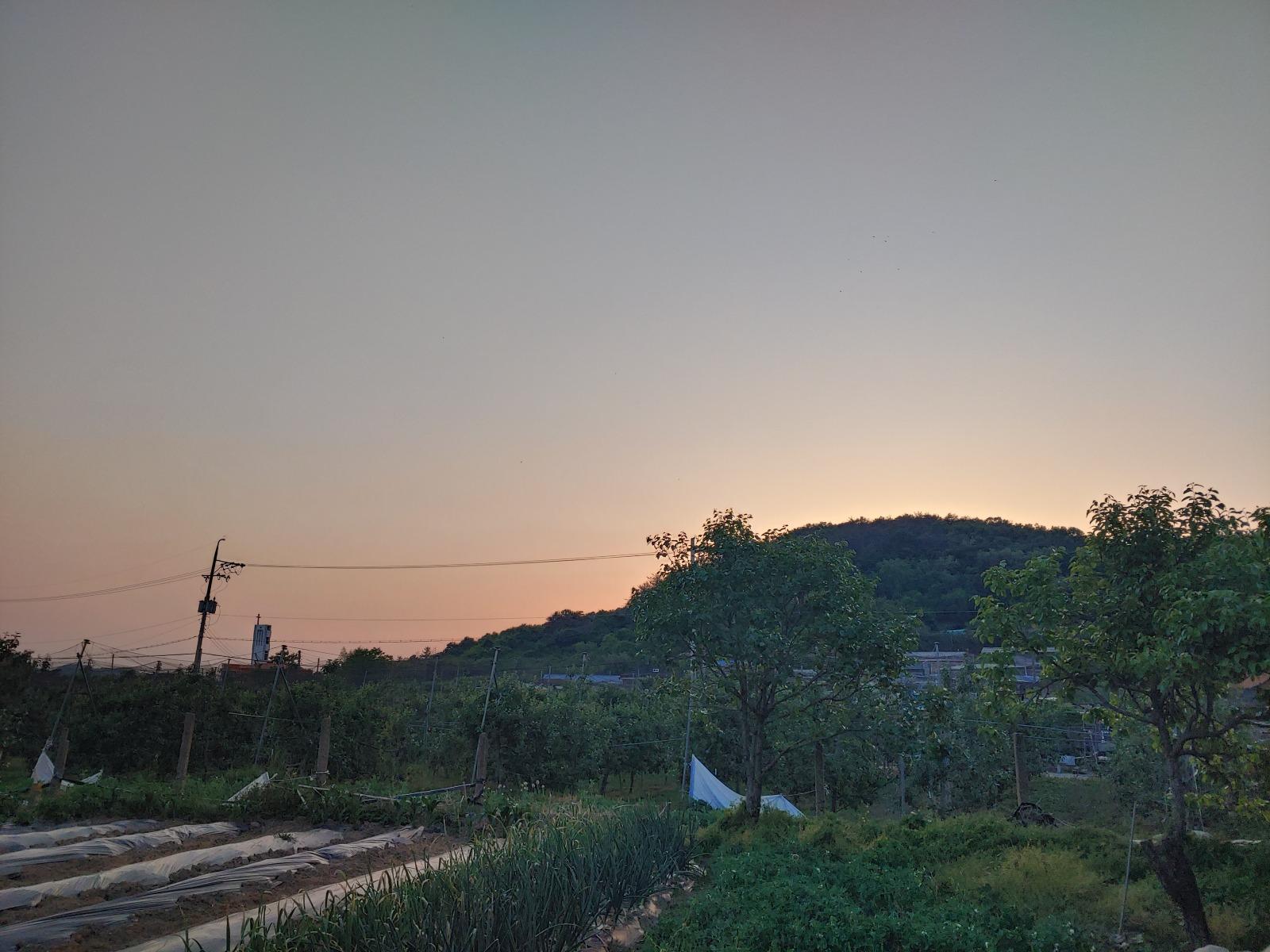 20260516_191231_HDR.jpg