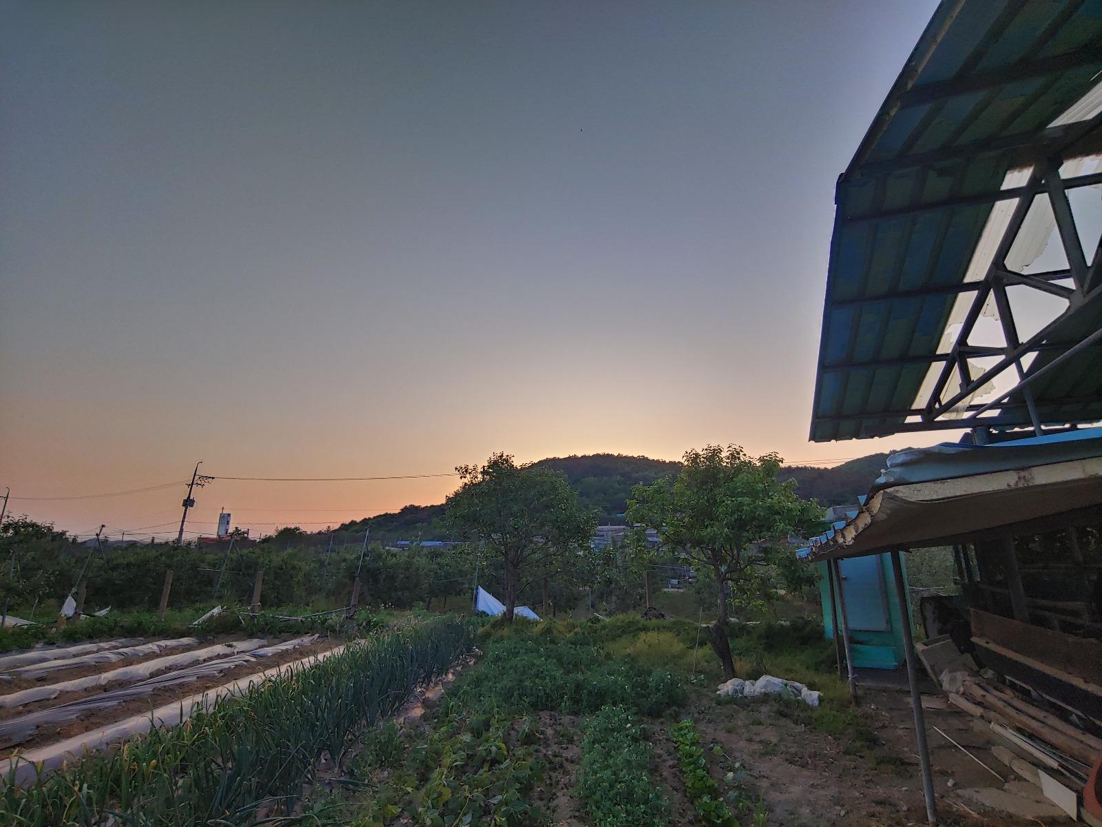 20260516_191217_HDR.jpg