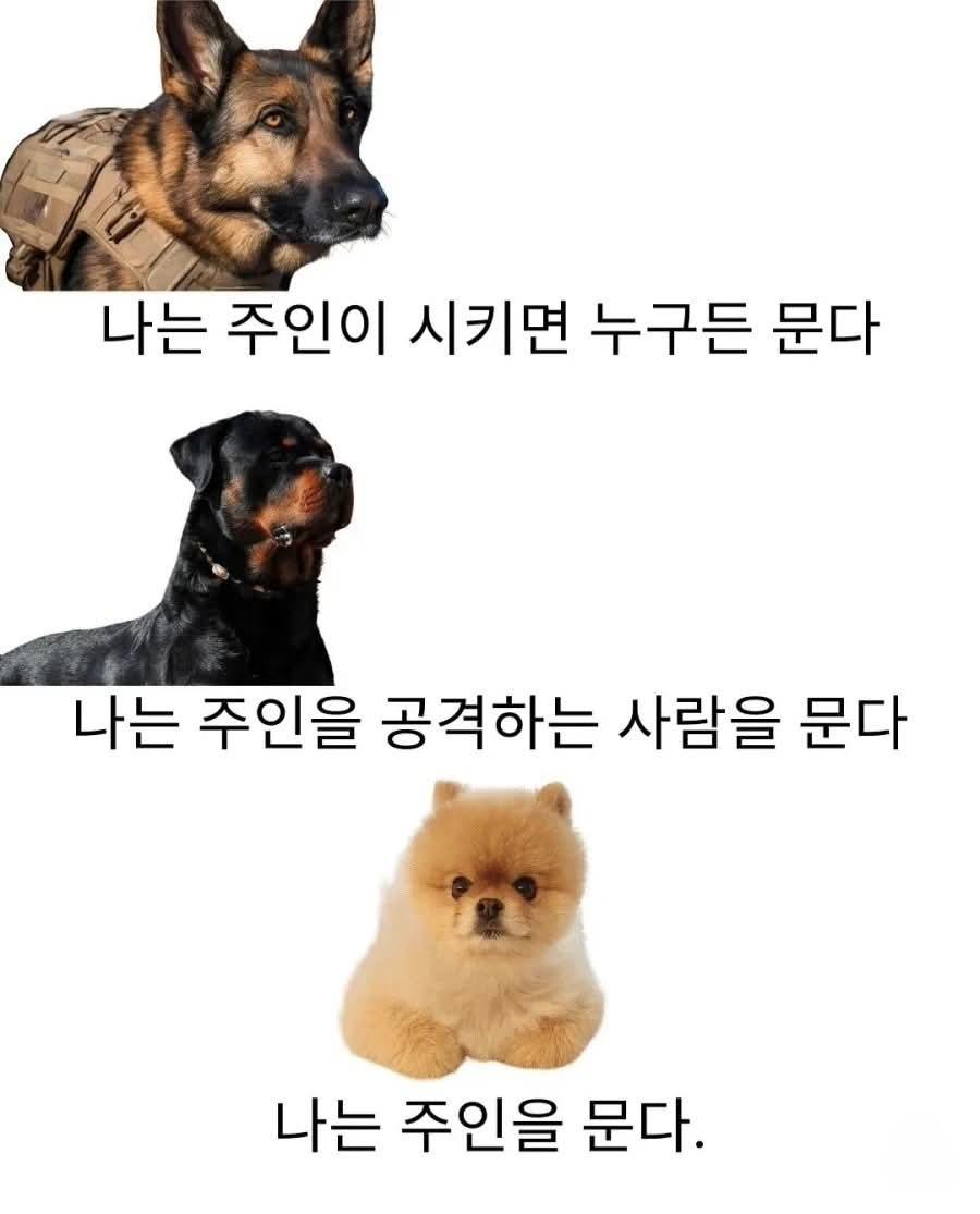 1000020999.jpg