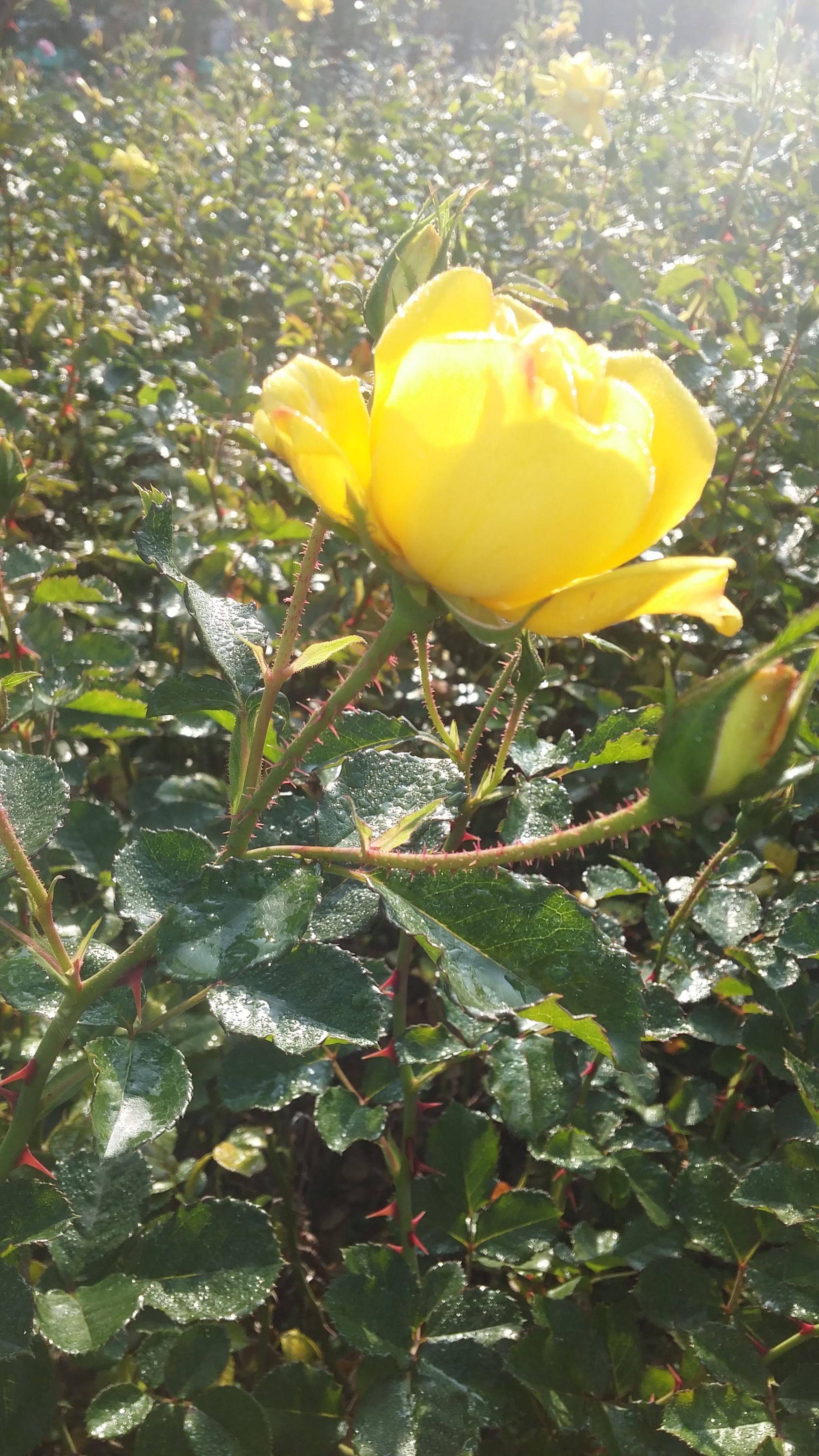 20151023_090913.jpg