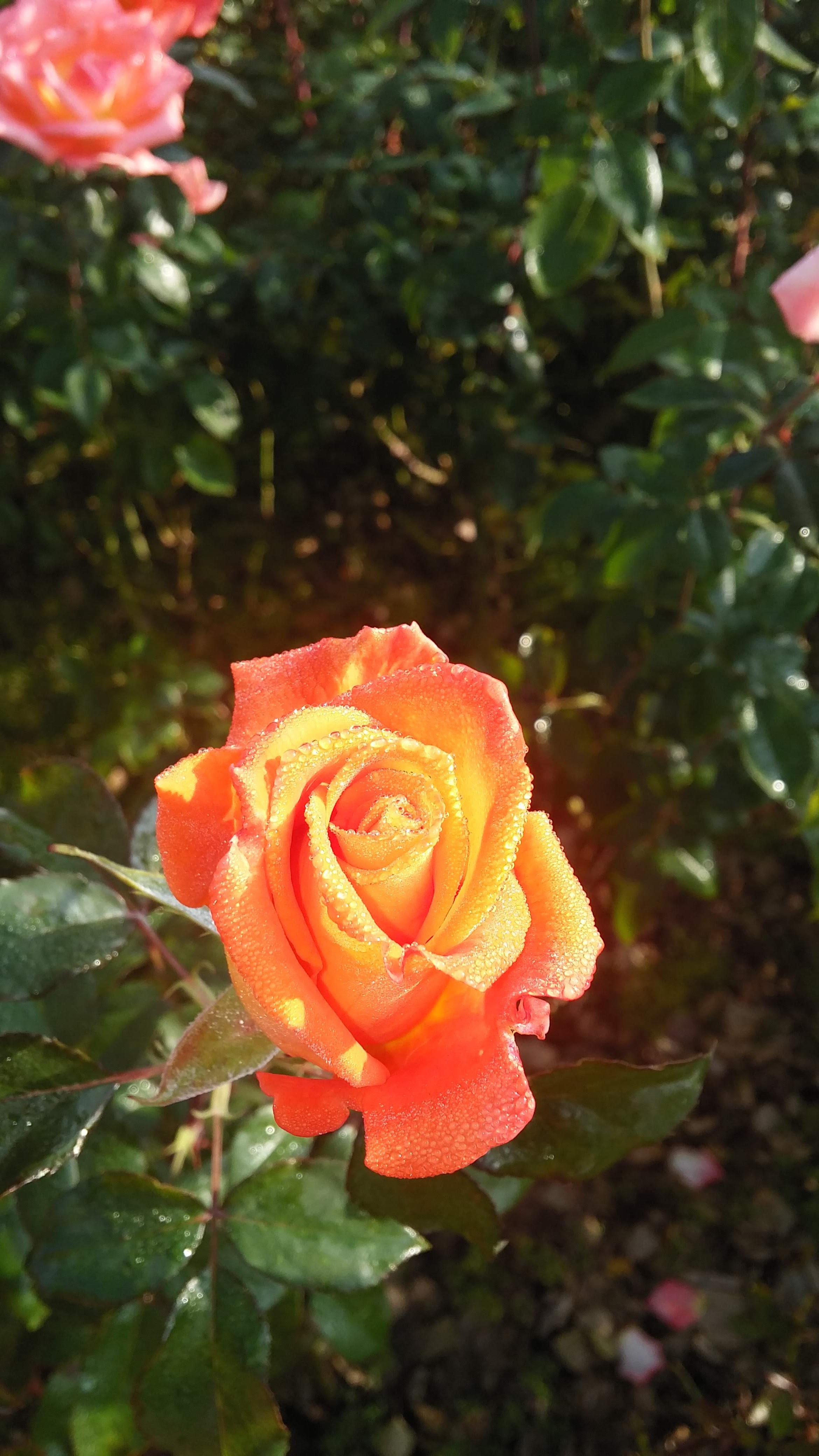 20151023_090717.jpg