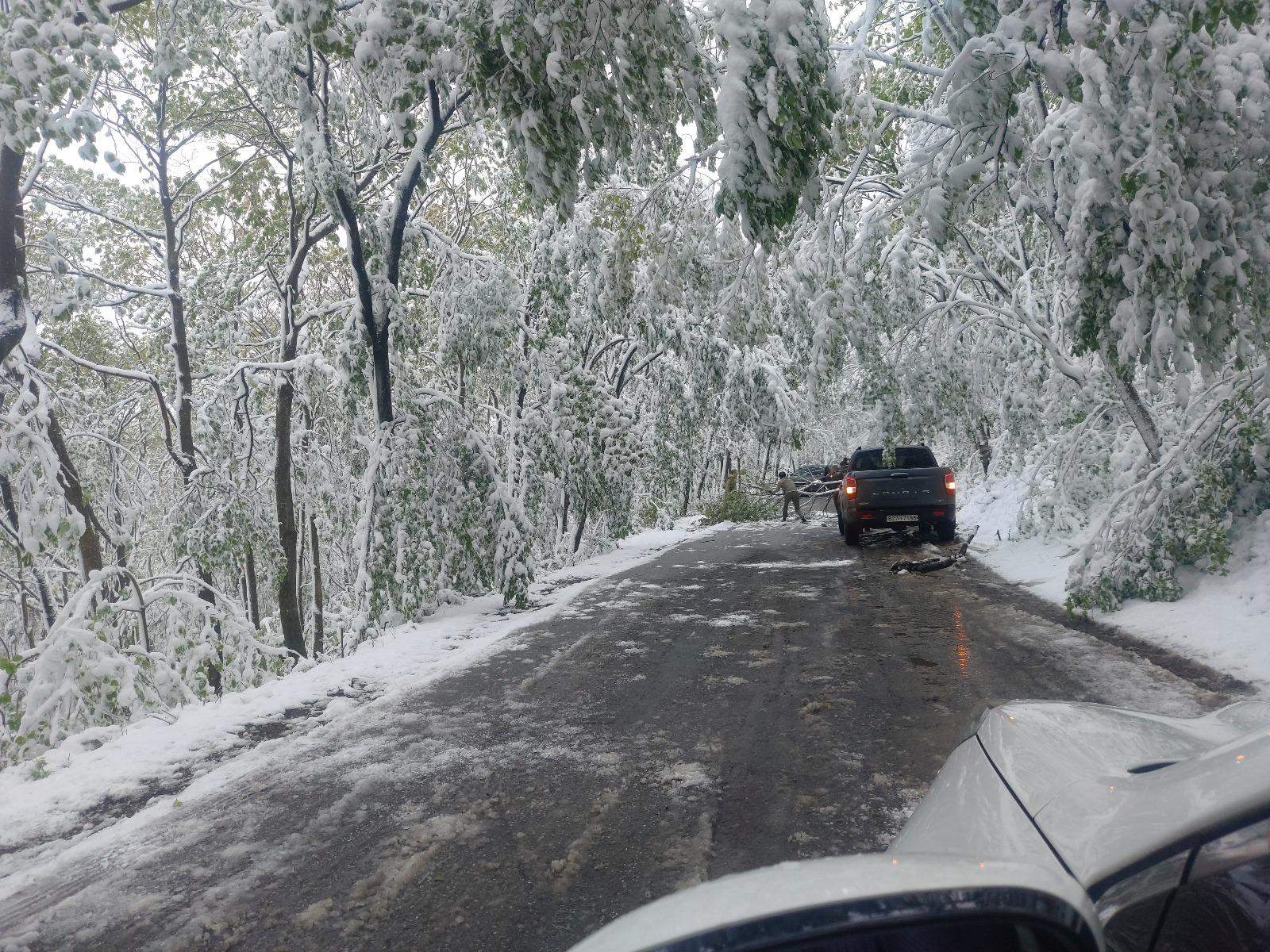 20240516_092231.jpg