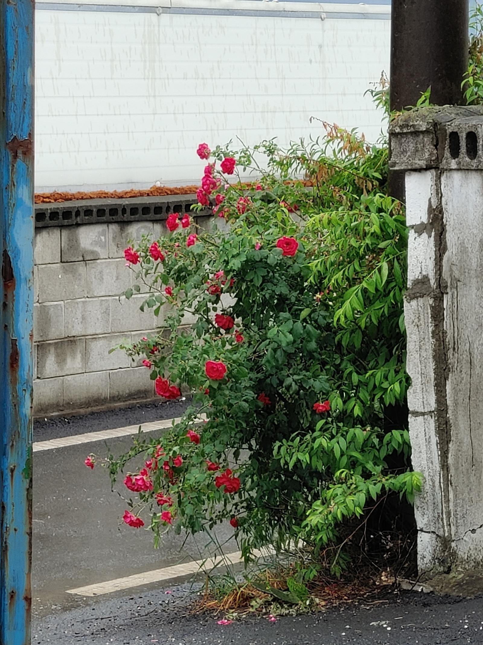 20260520_113925_HDR.jpg