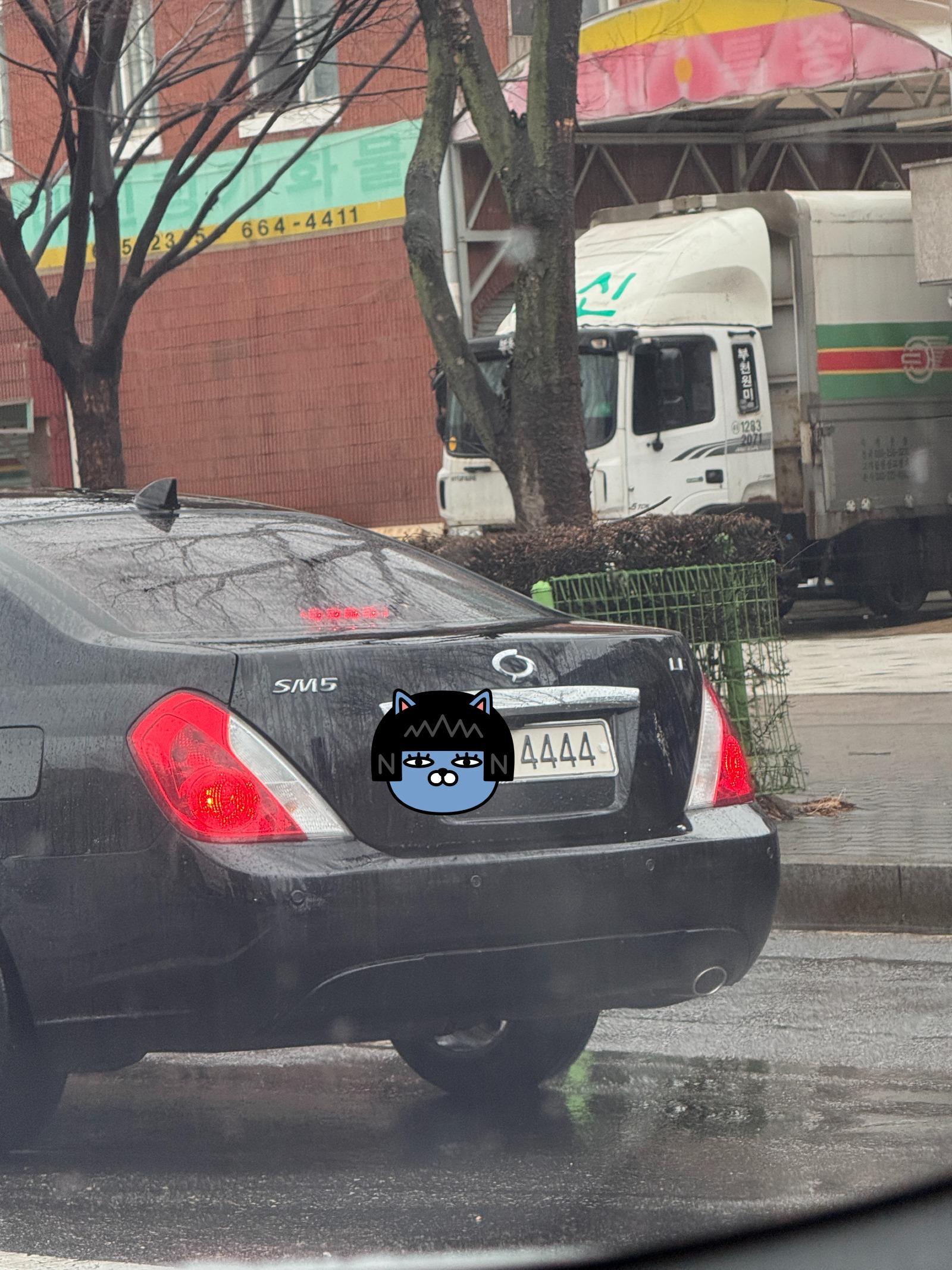 4444.jpg