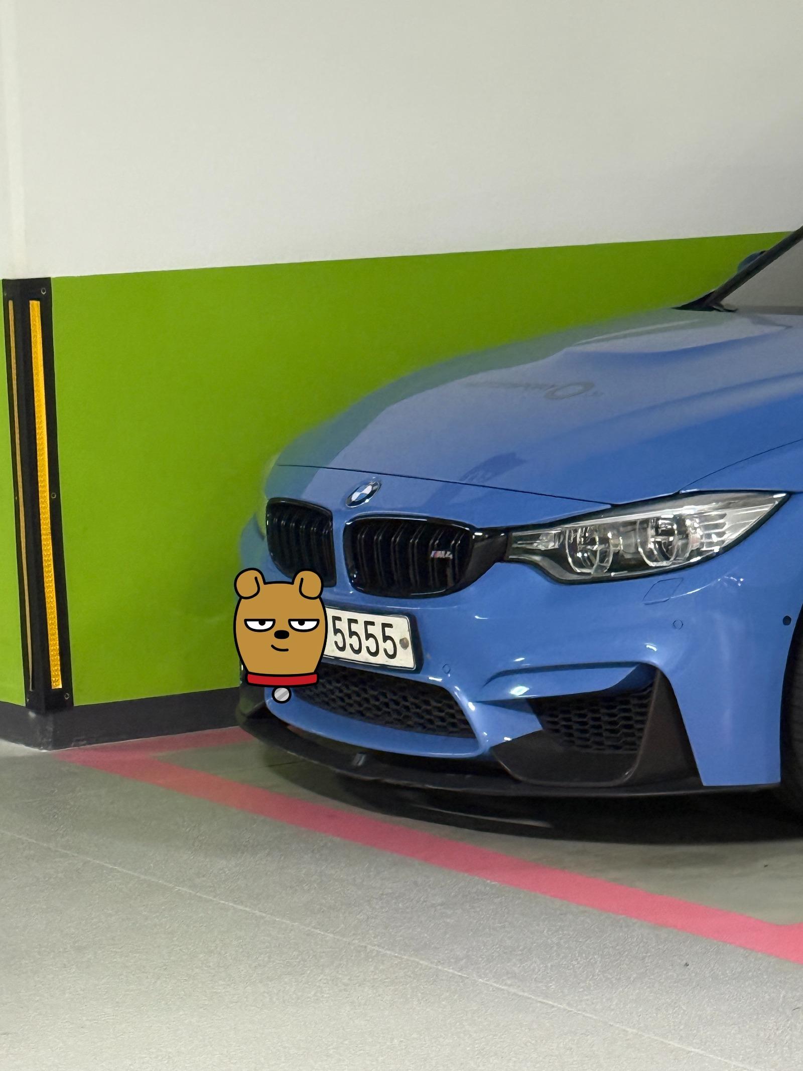 5555(2).jpg