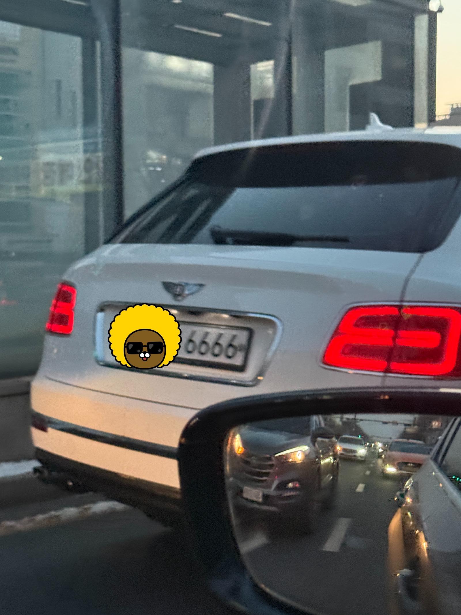 6666.jpg