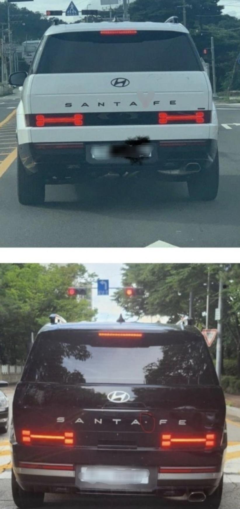 1000016509.jpg