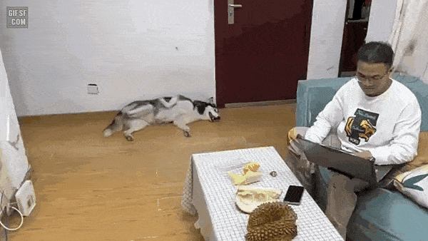 1000022849.gif