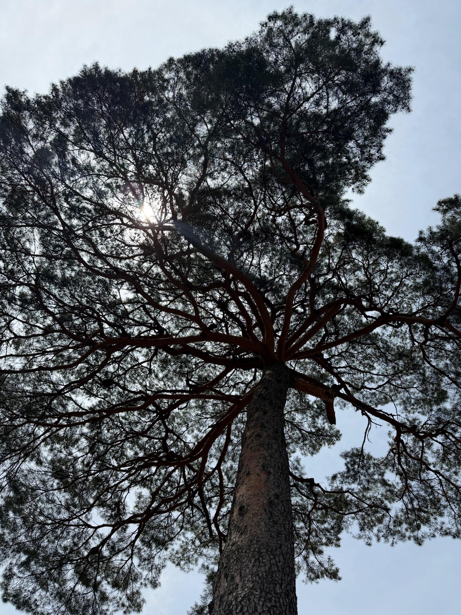 IMG_4588.jpeg
