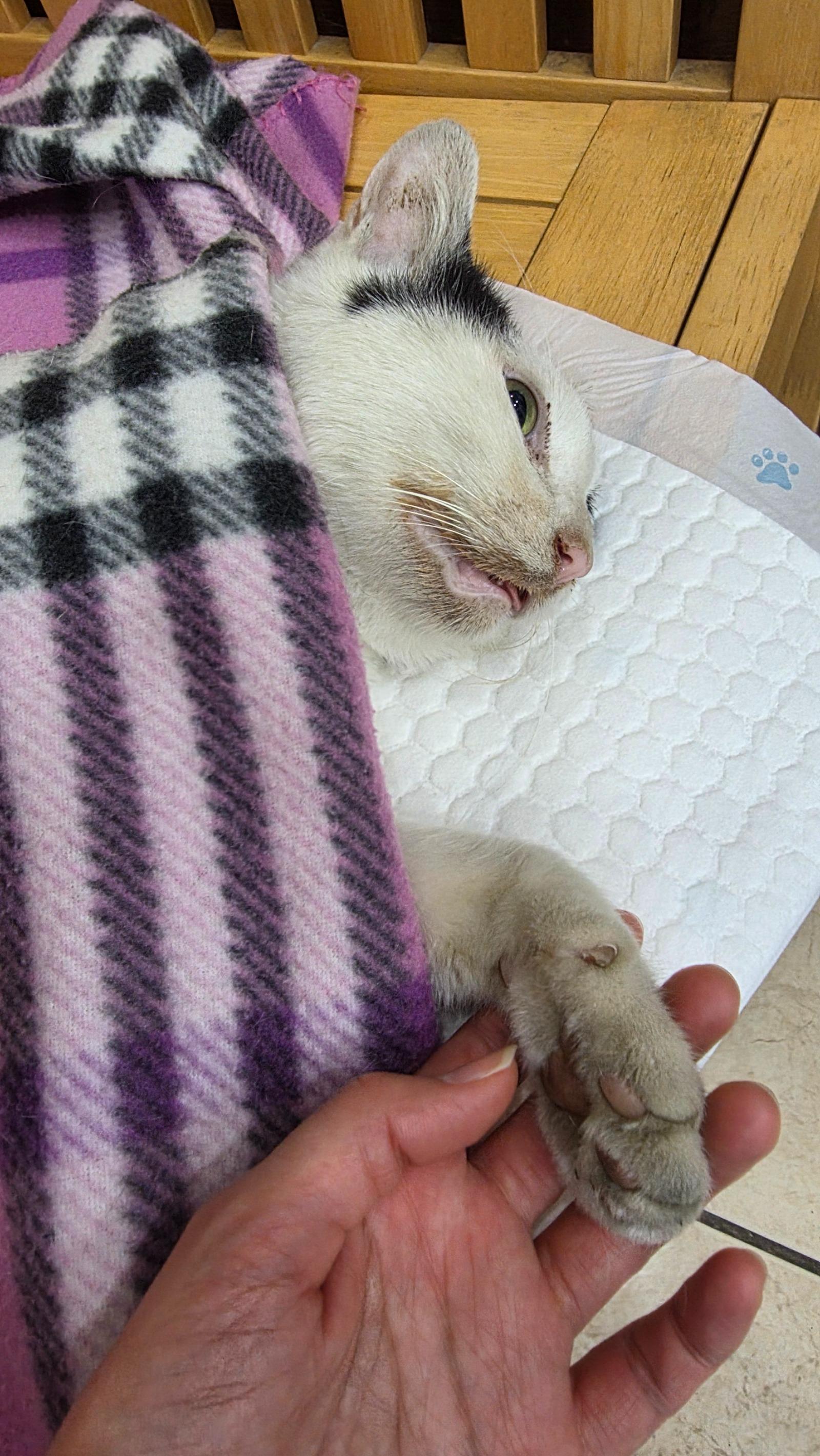 KakaoTalk_20251122_171440490.jpg