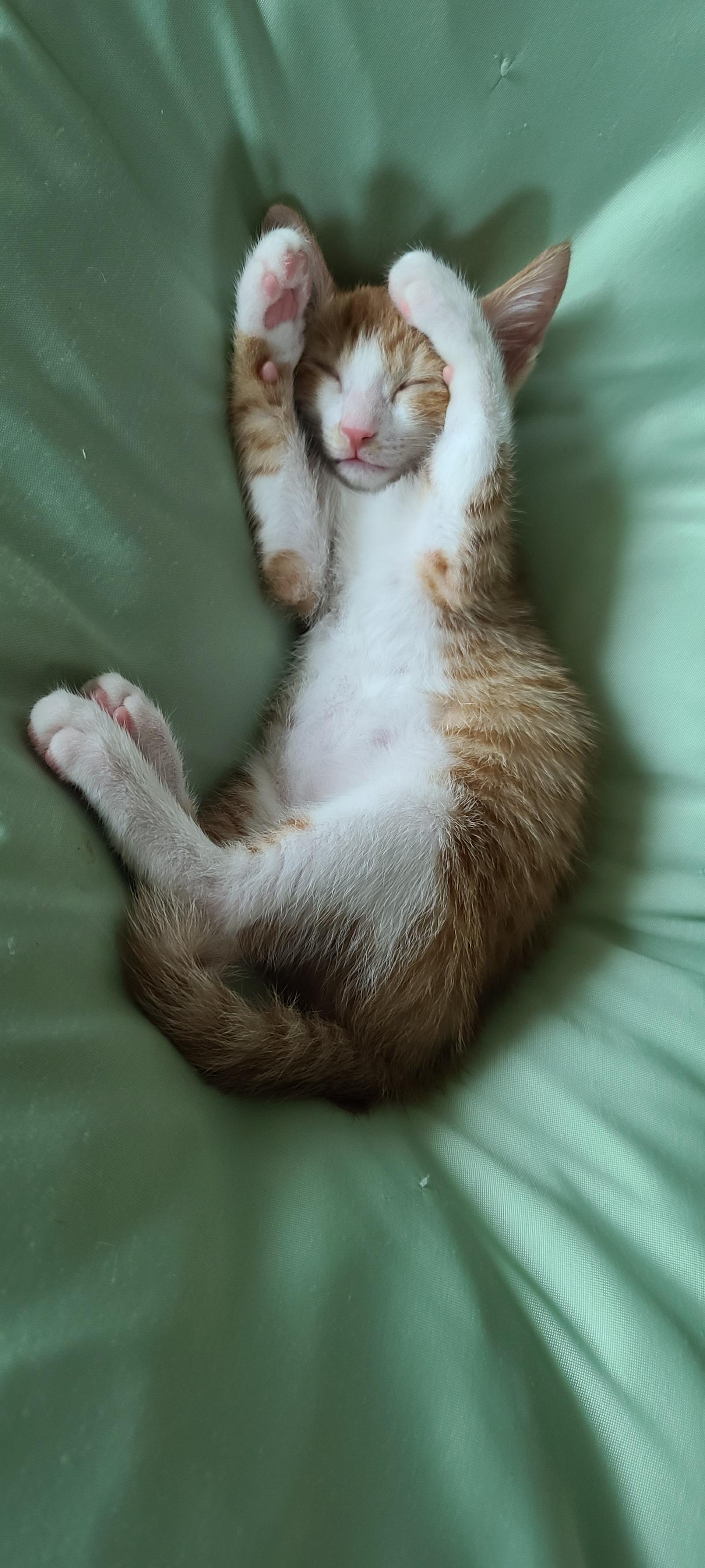 유림사진.jpg