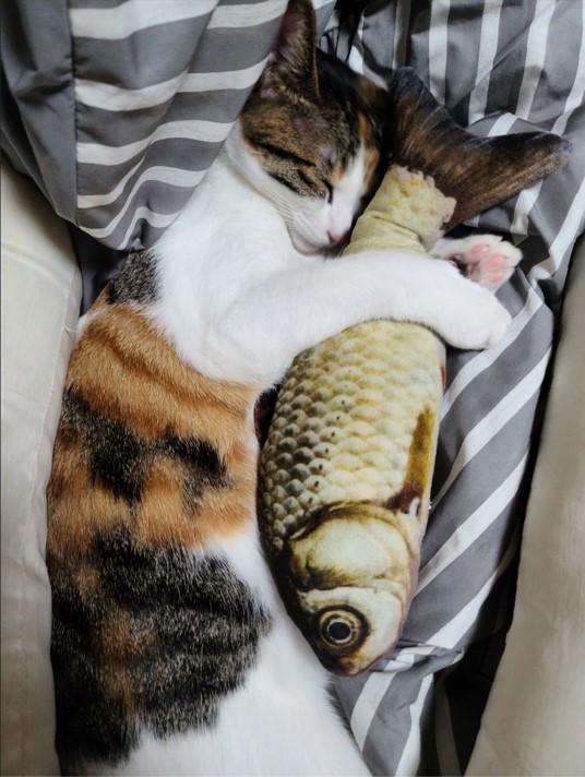 크림사진1.jpg