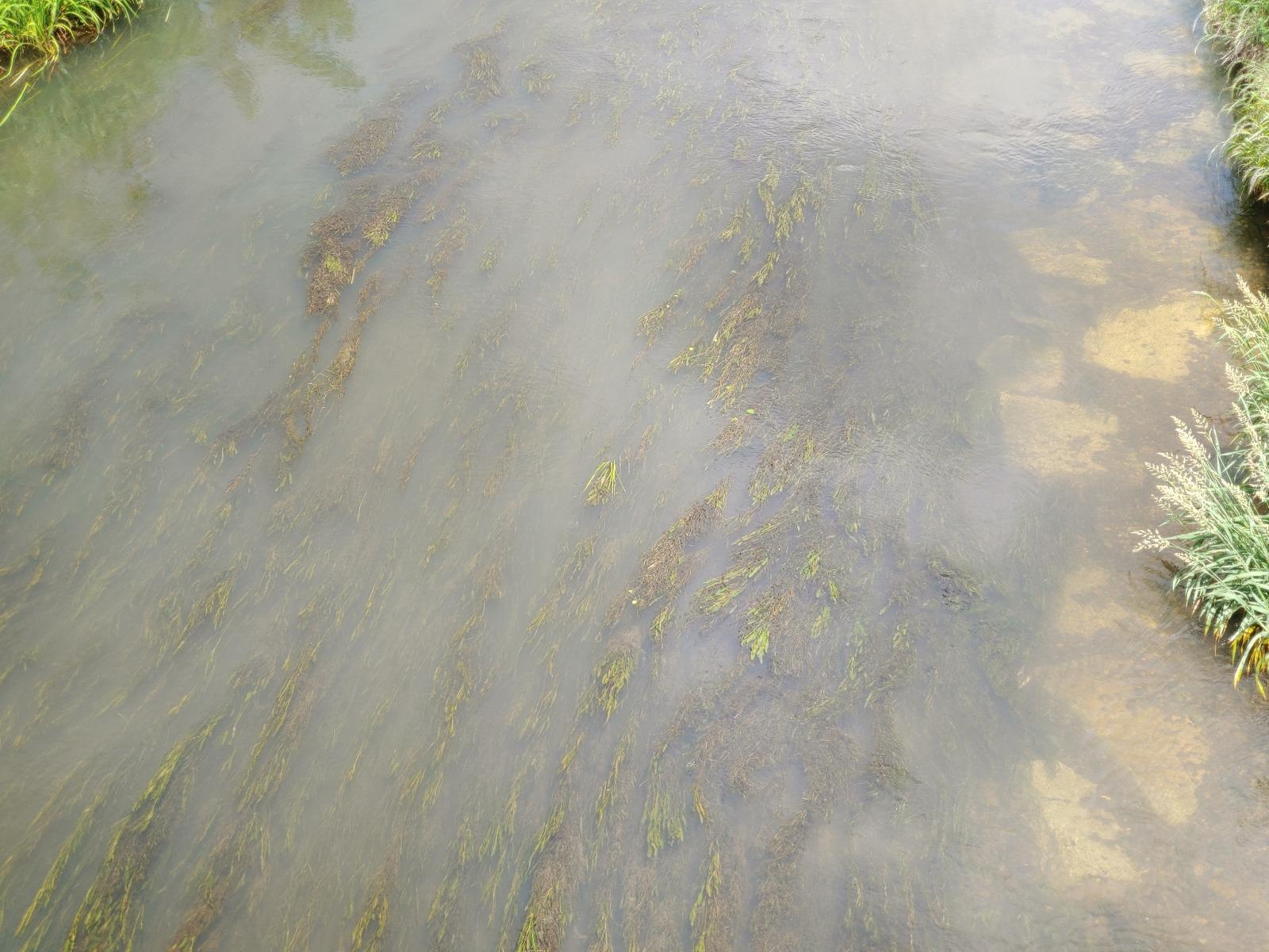20260528_131700.jpg