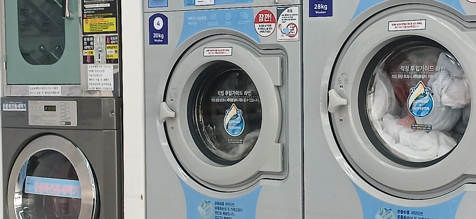 5877.jpg