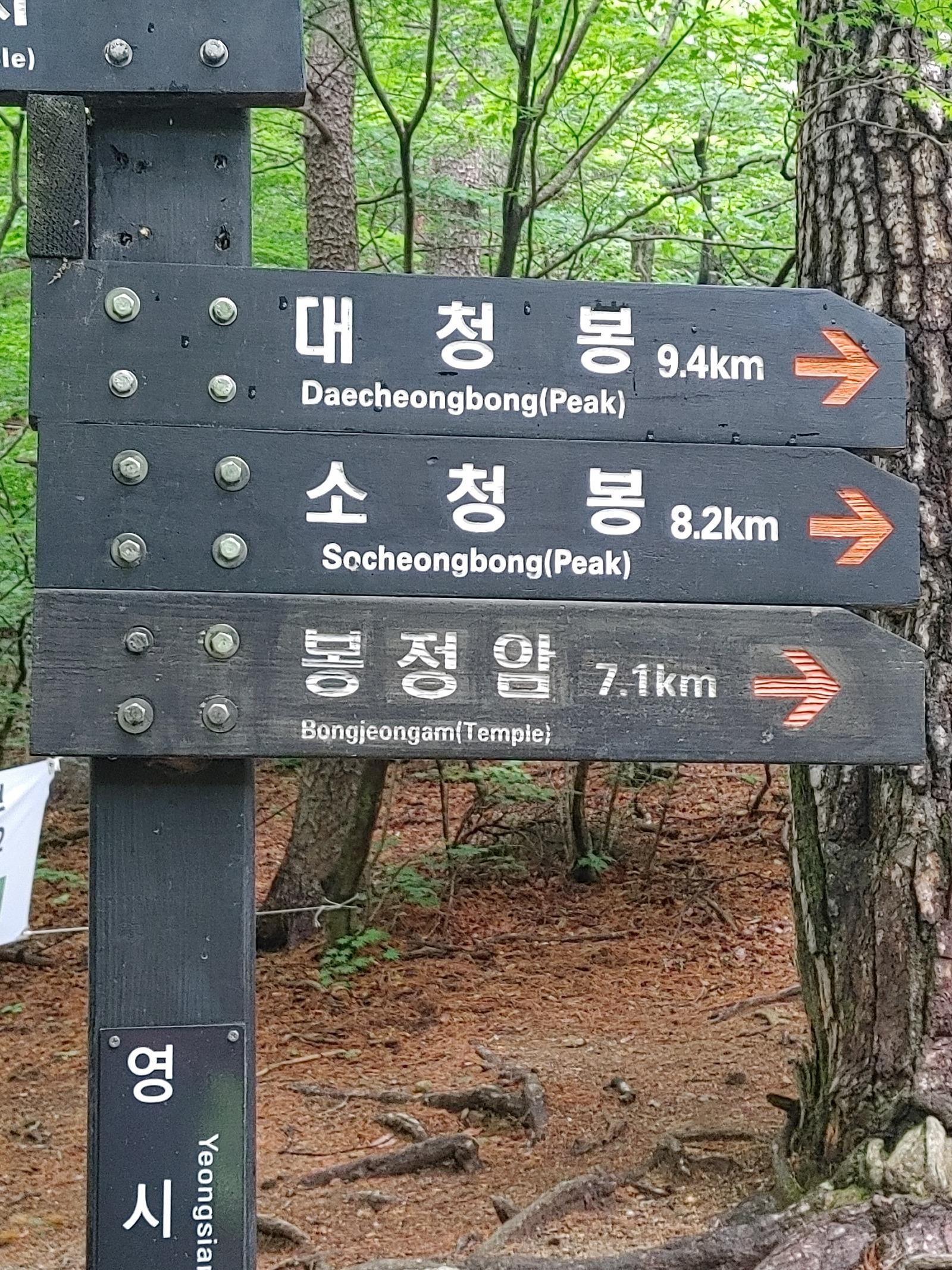 1000033703.jpg