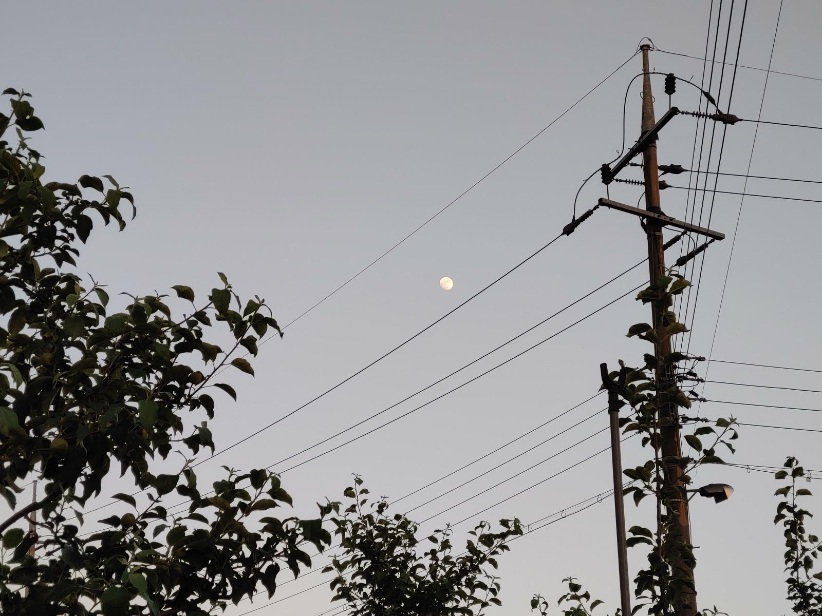 20260528_191605.jpg