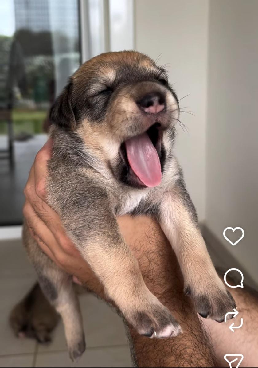 Screenshot_20260529_083536_Instagram.jpg