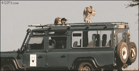 똥싼다.gif