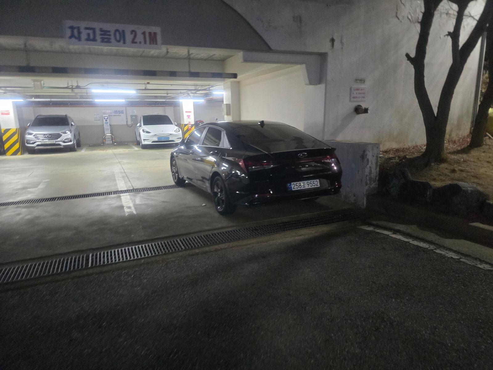 1000024782.jpg