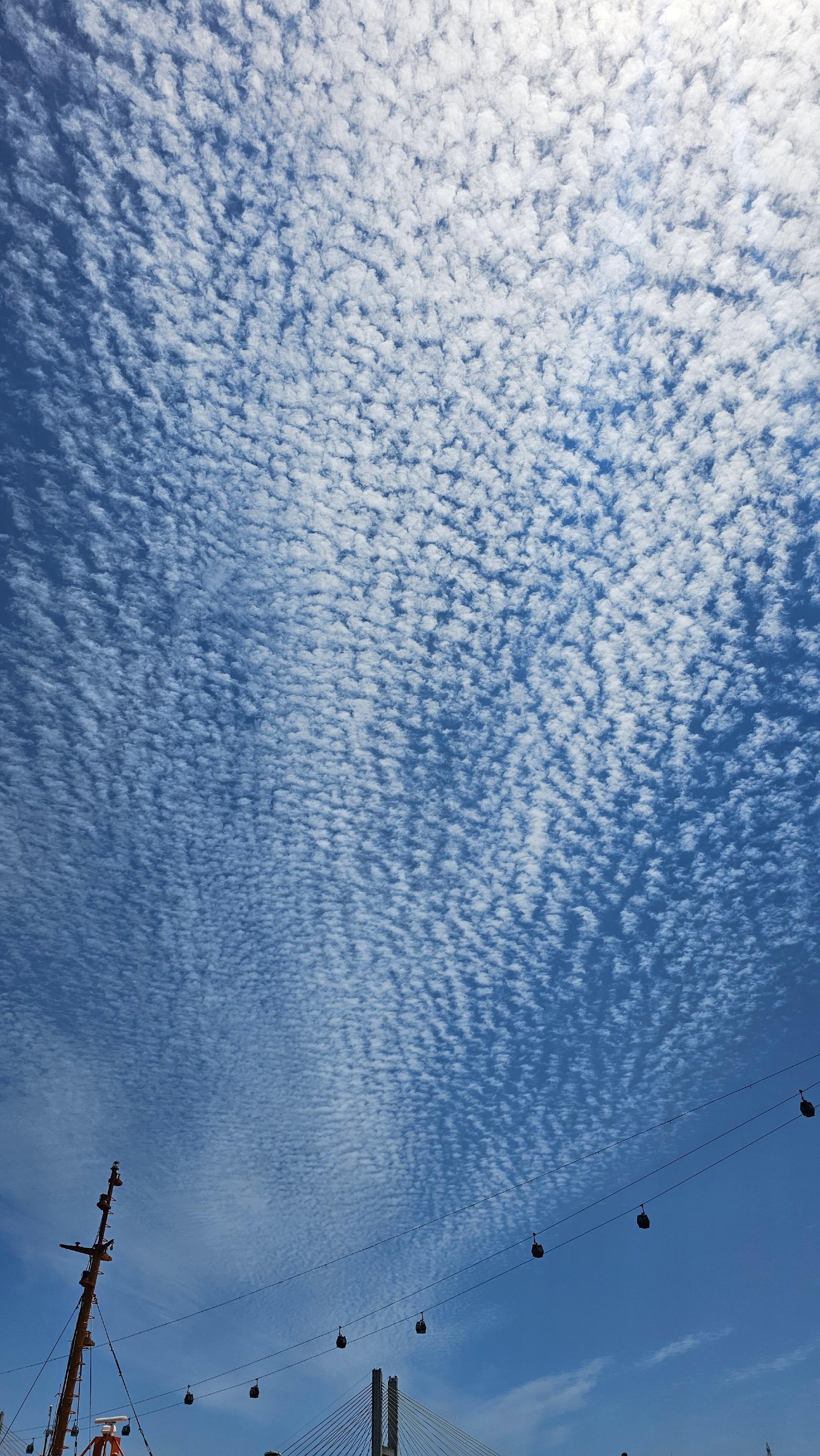 1000053534.jpg