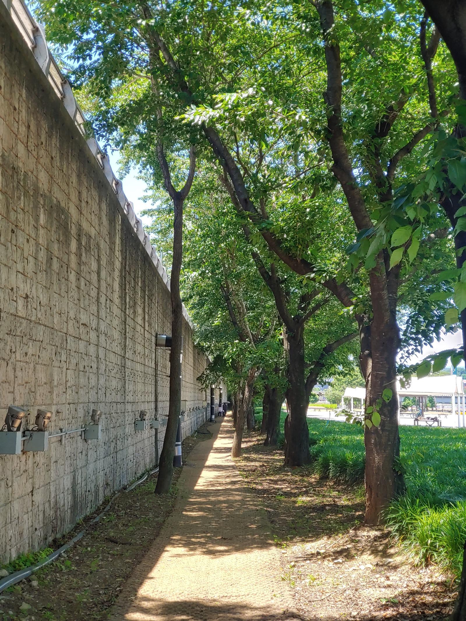 20260530_120407_HDR.jpg