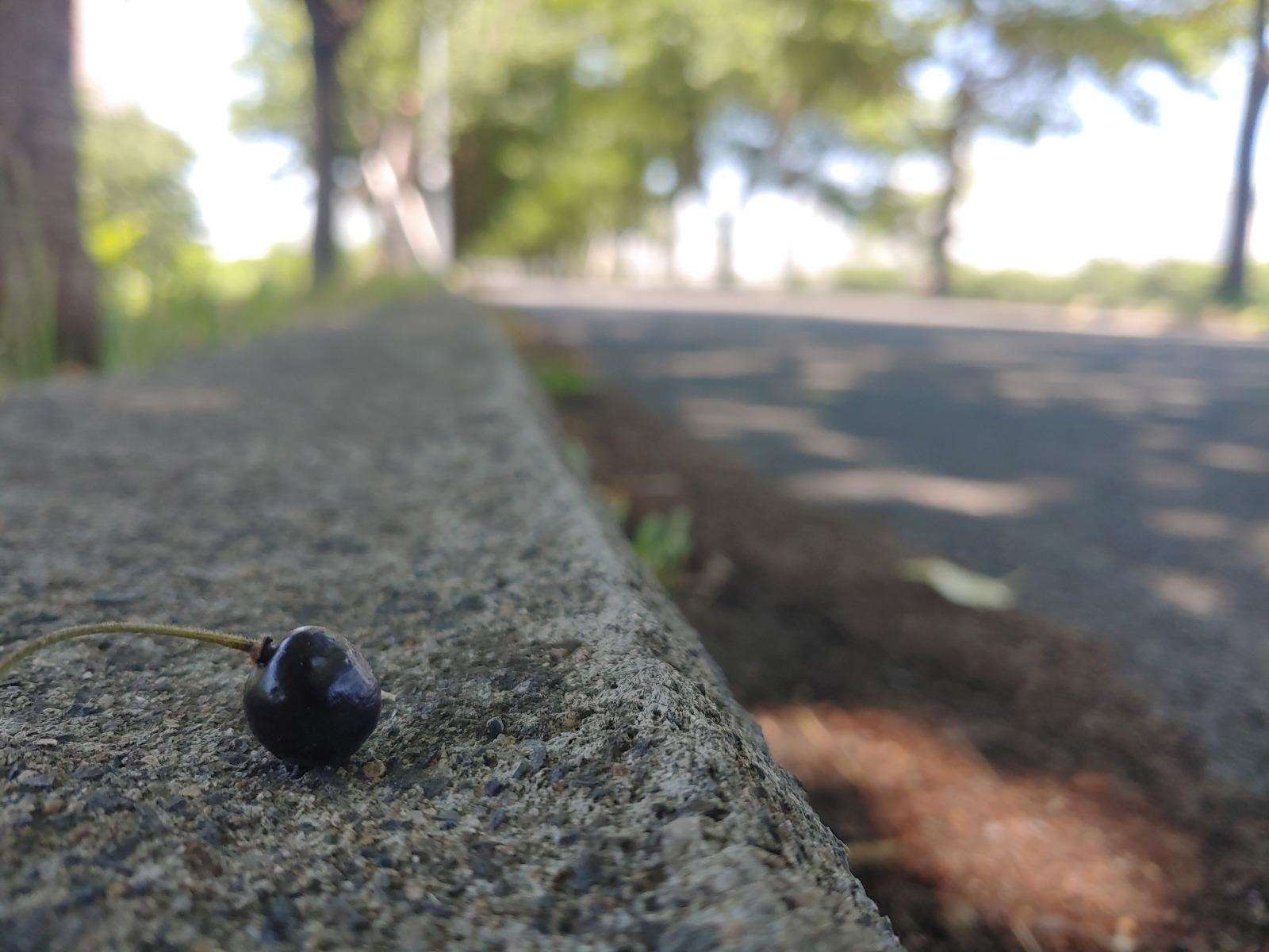 20260530_115214.jpg