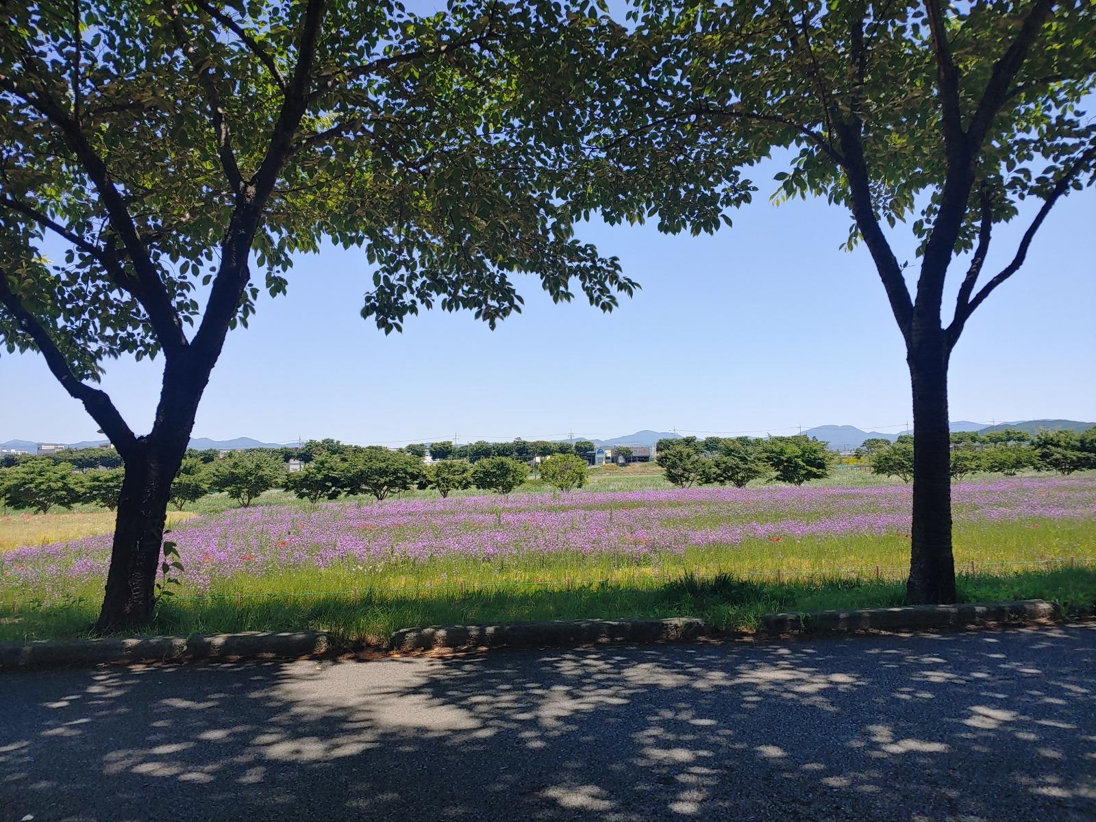20260530_115056_HDR.jpg