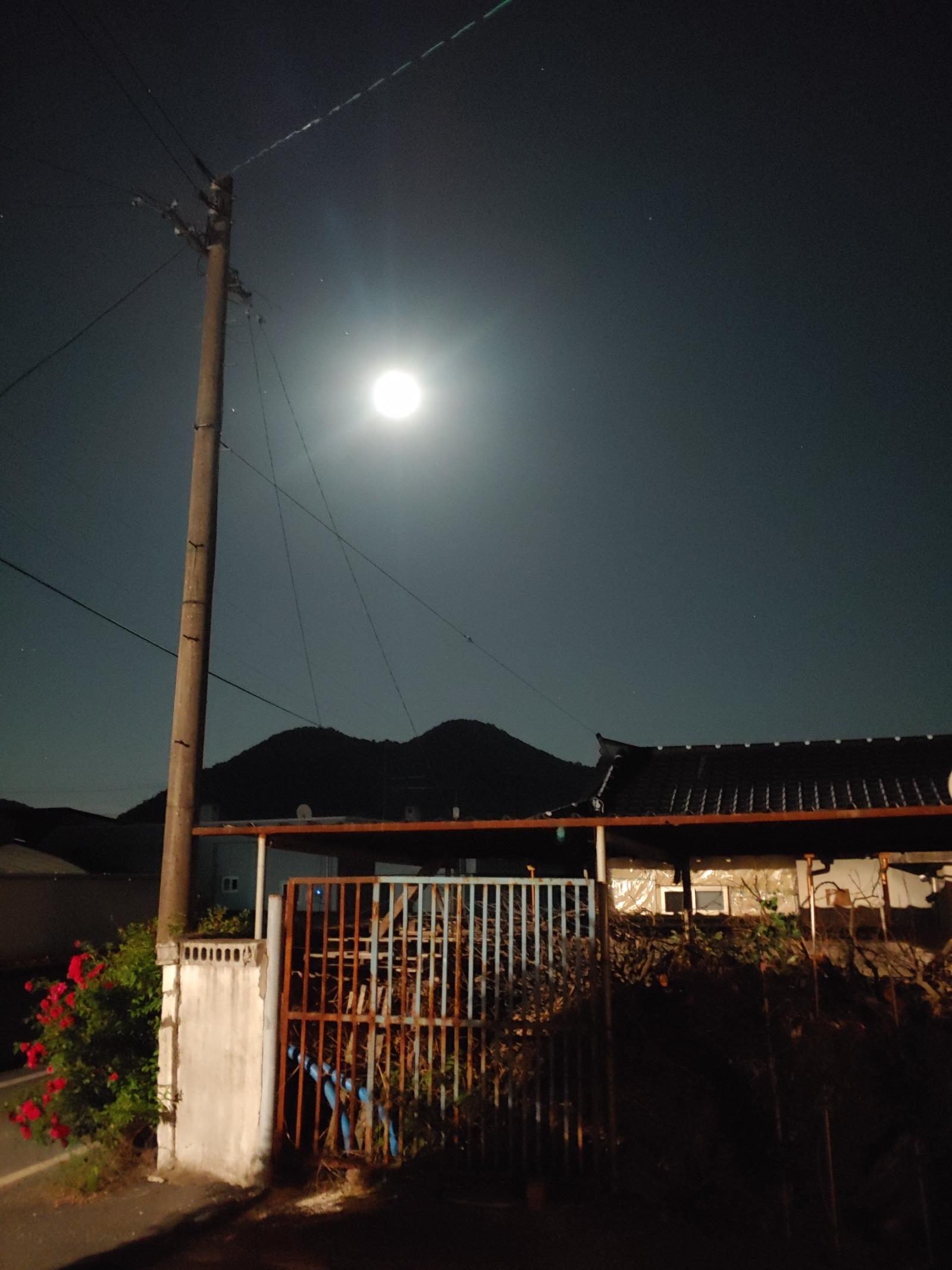 20260530_233138.jpg