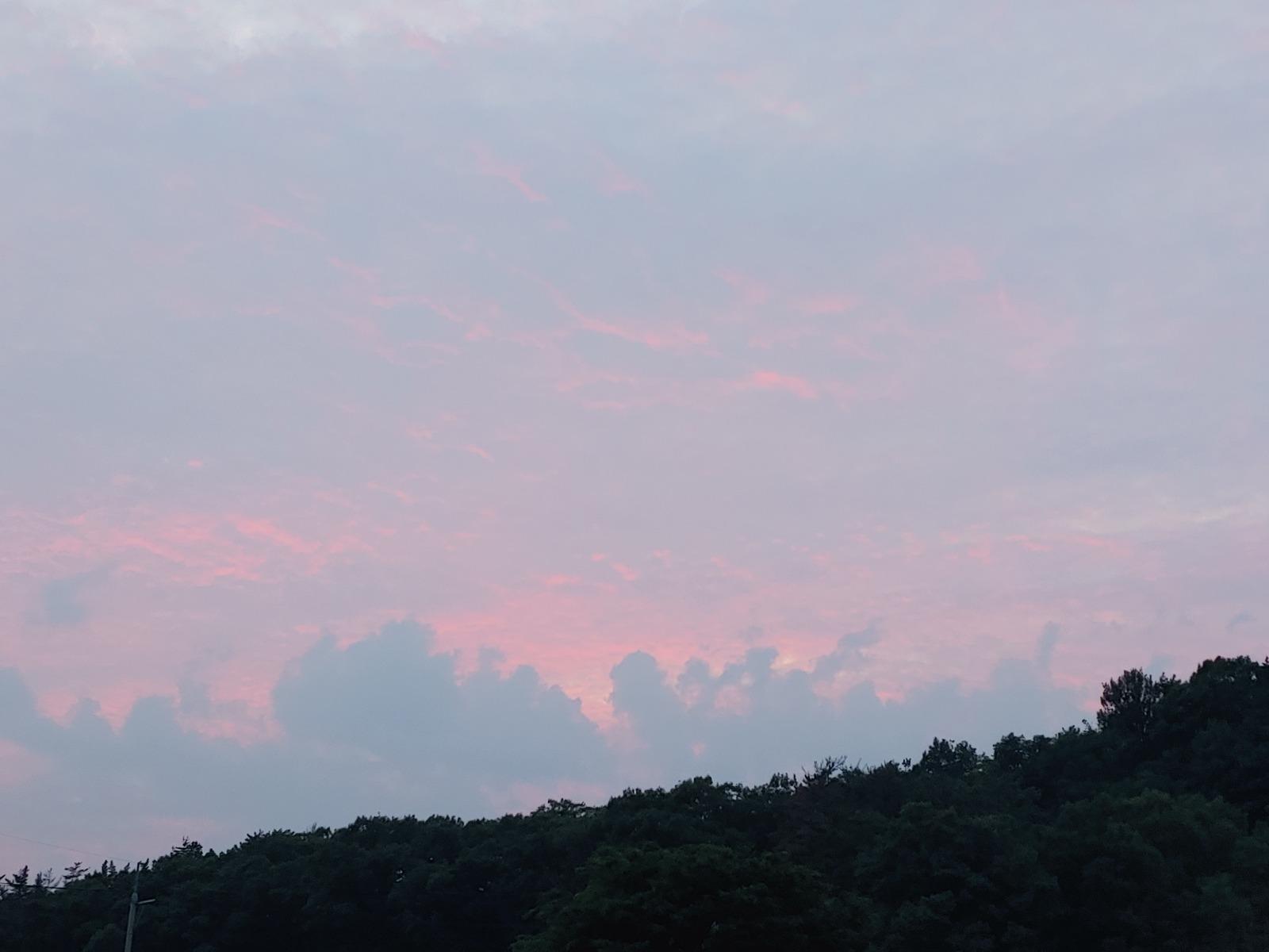 20260601_194645.jpg