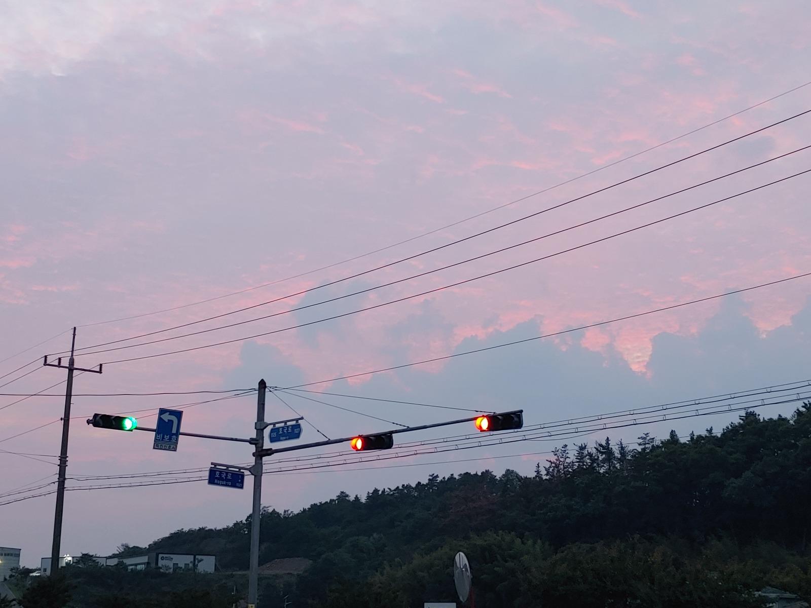 20260601_194510.jpg