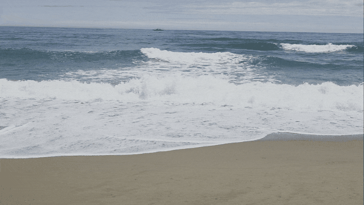 30635.gif