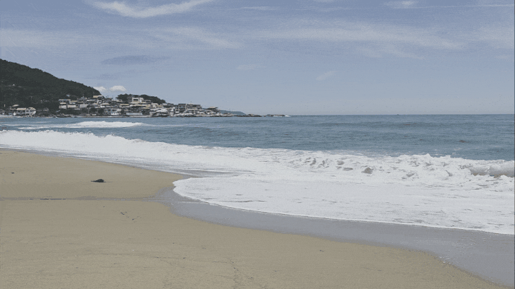 30639.gif