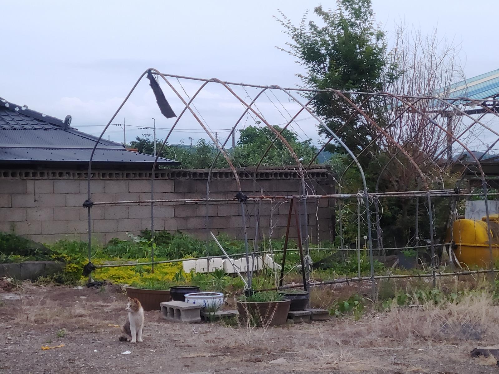 20260603_191841.jpg