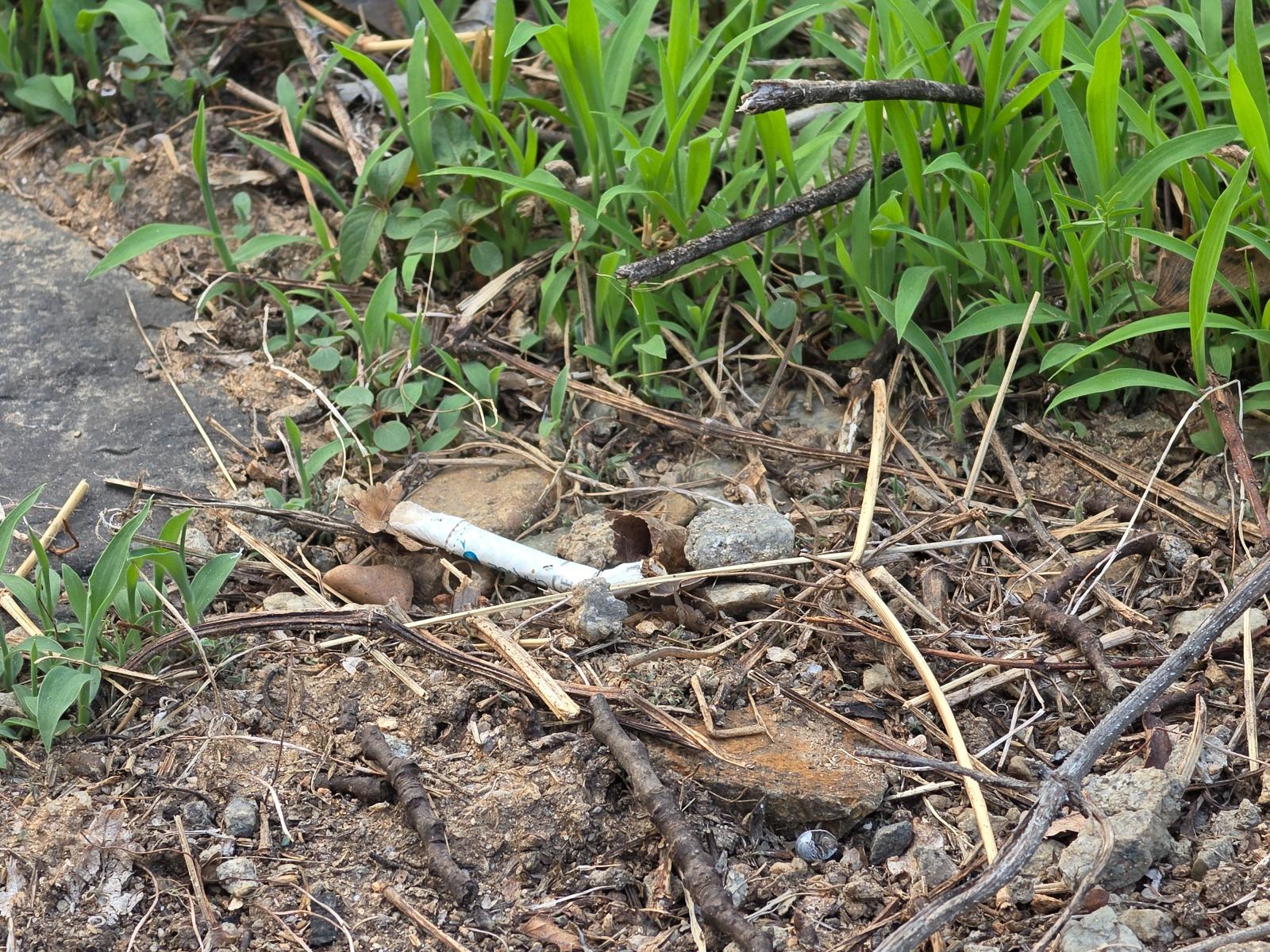 20260604_184751.jpg
