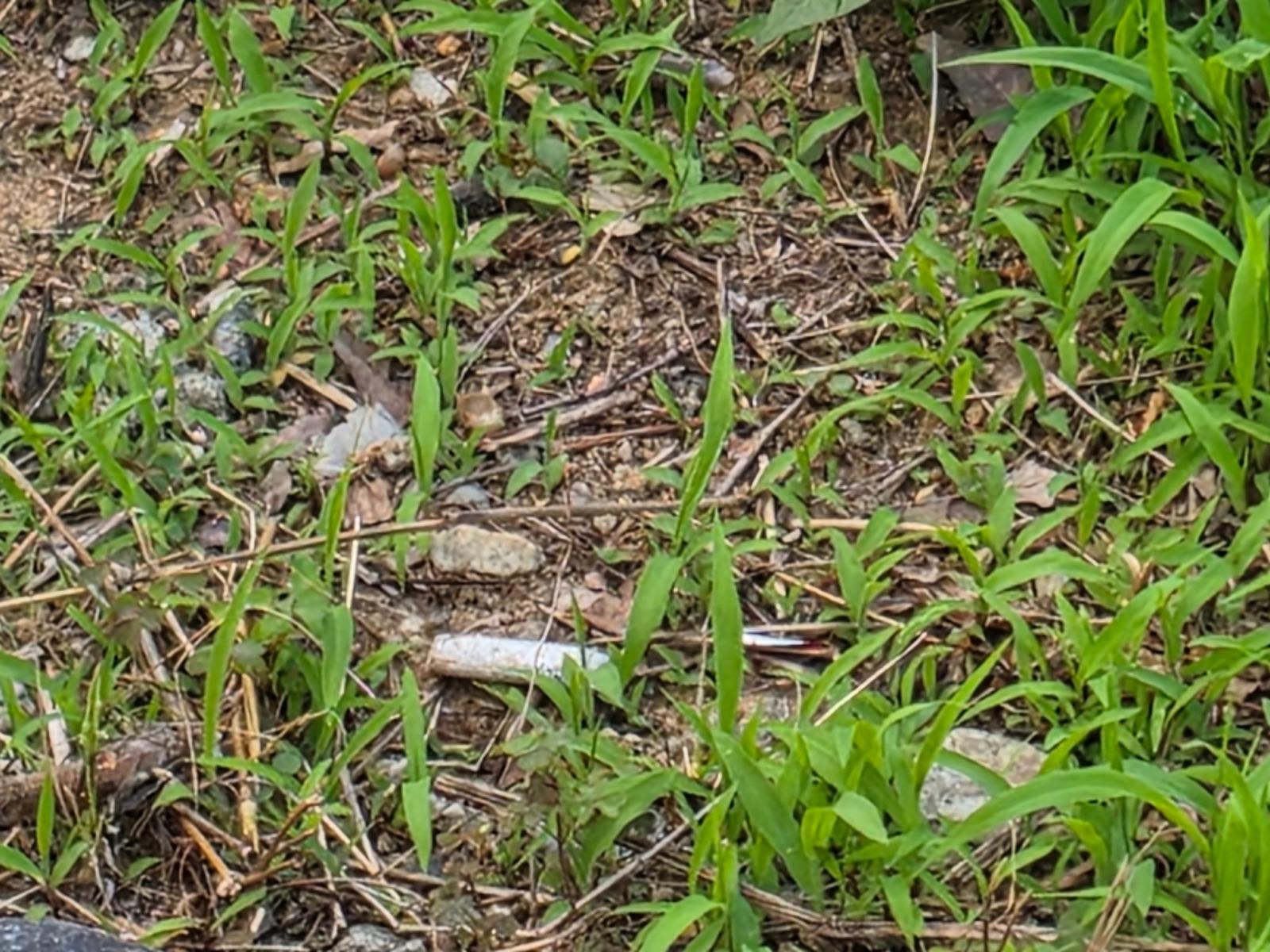 20260604_184900.jpg