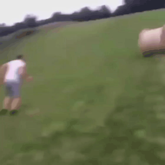 7195.gif