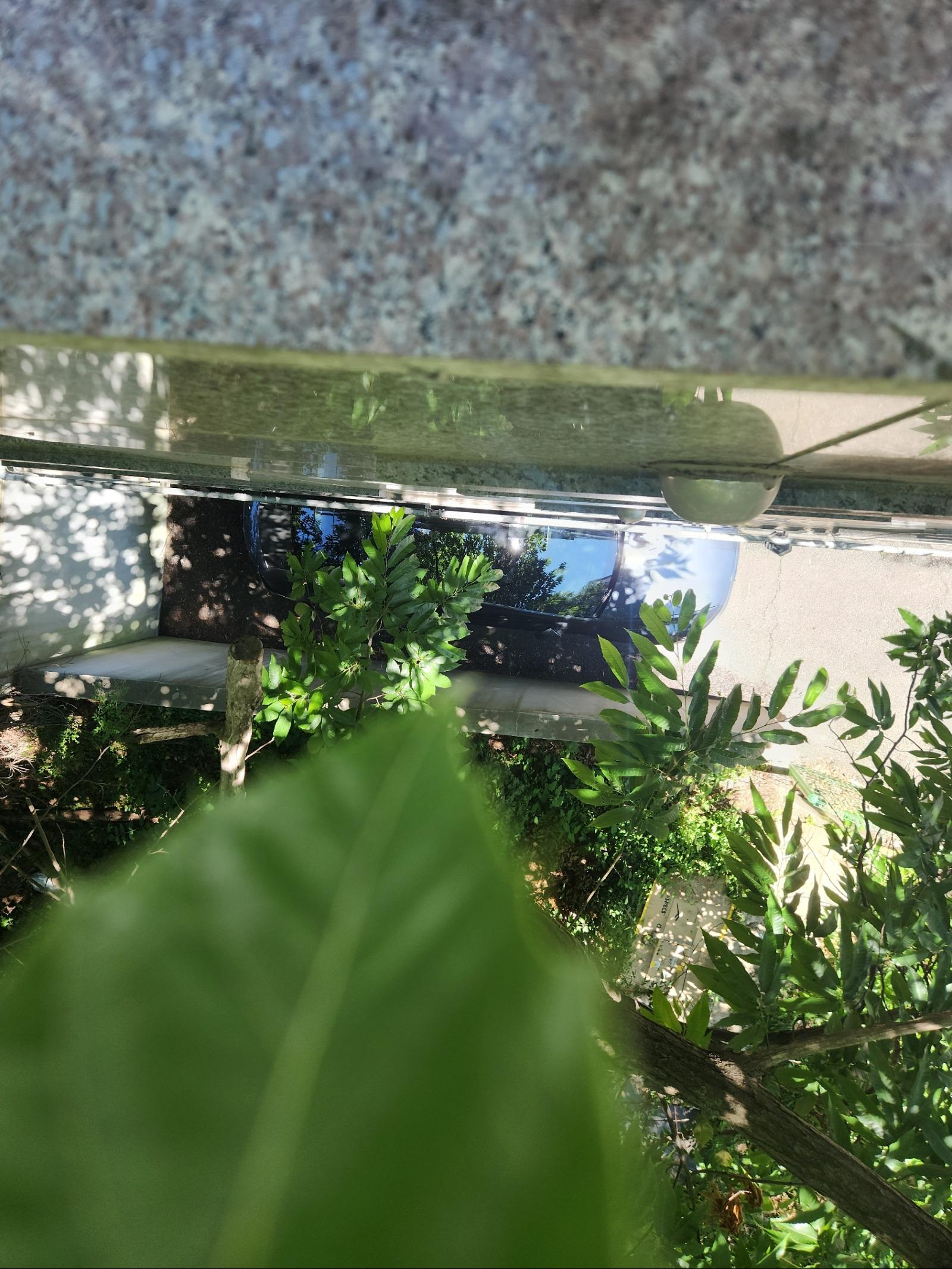 20260605_143453.jpg
