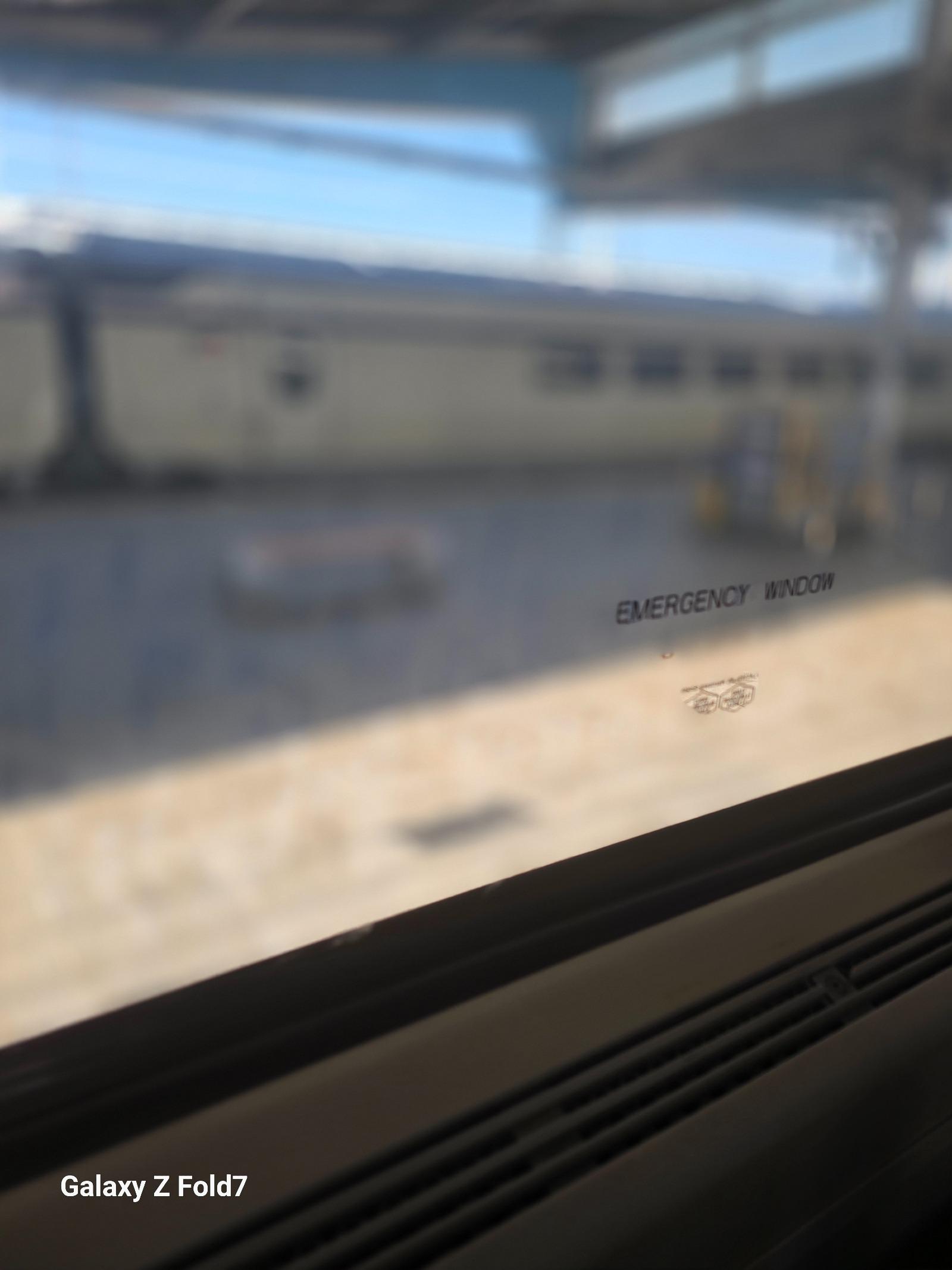 7233.jpg