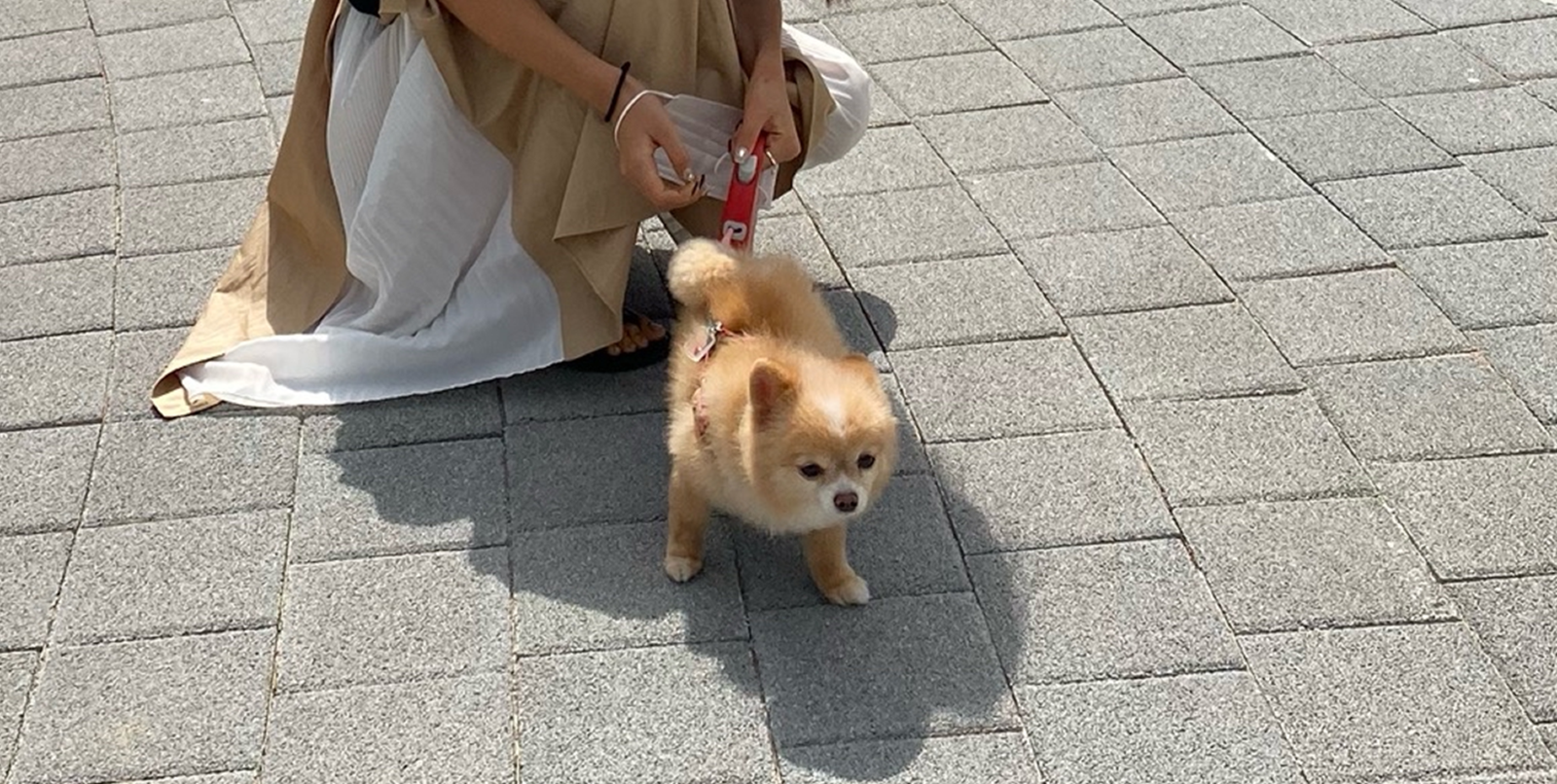 KakaoTalk_20260608_141540176.png