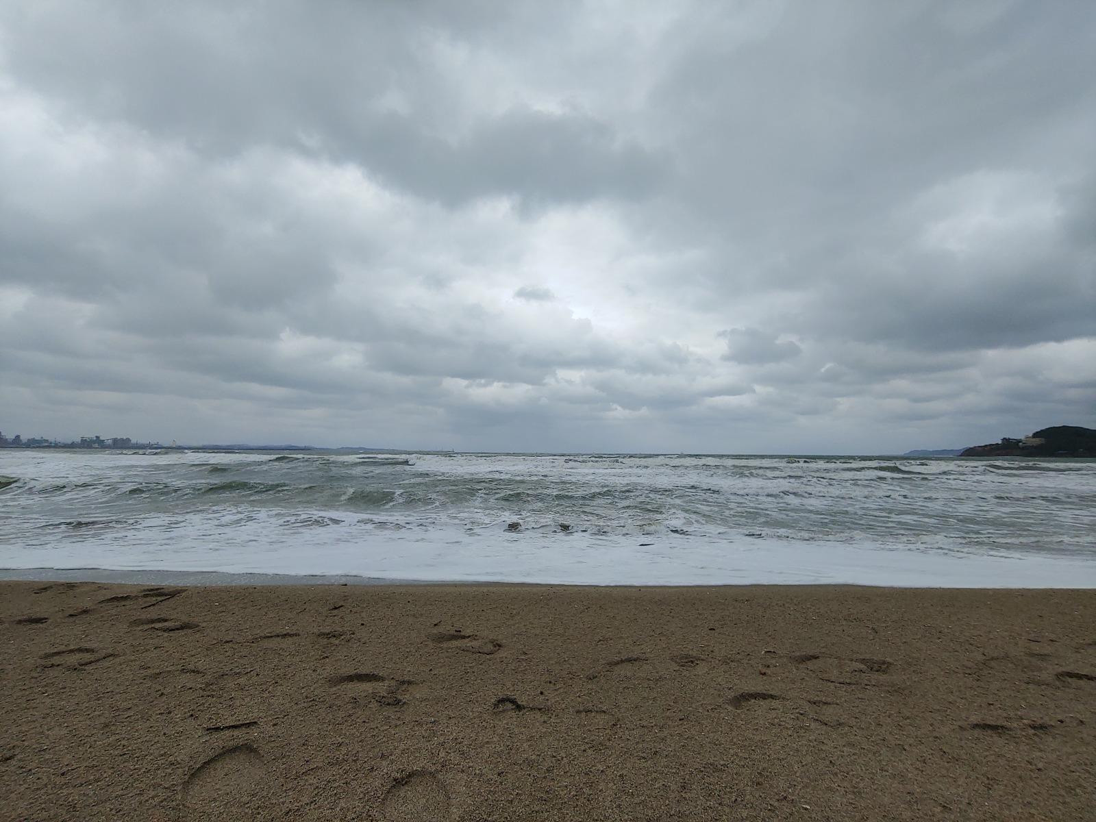 k8801767426305_724245644.jpg